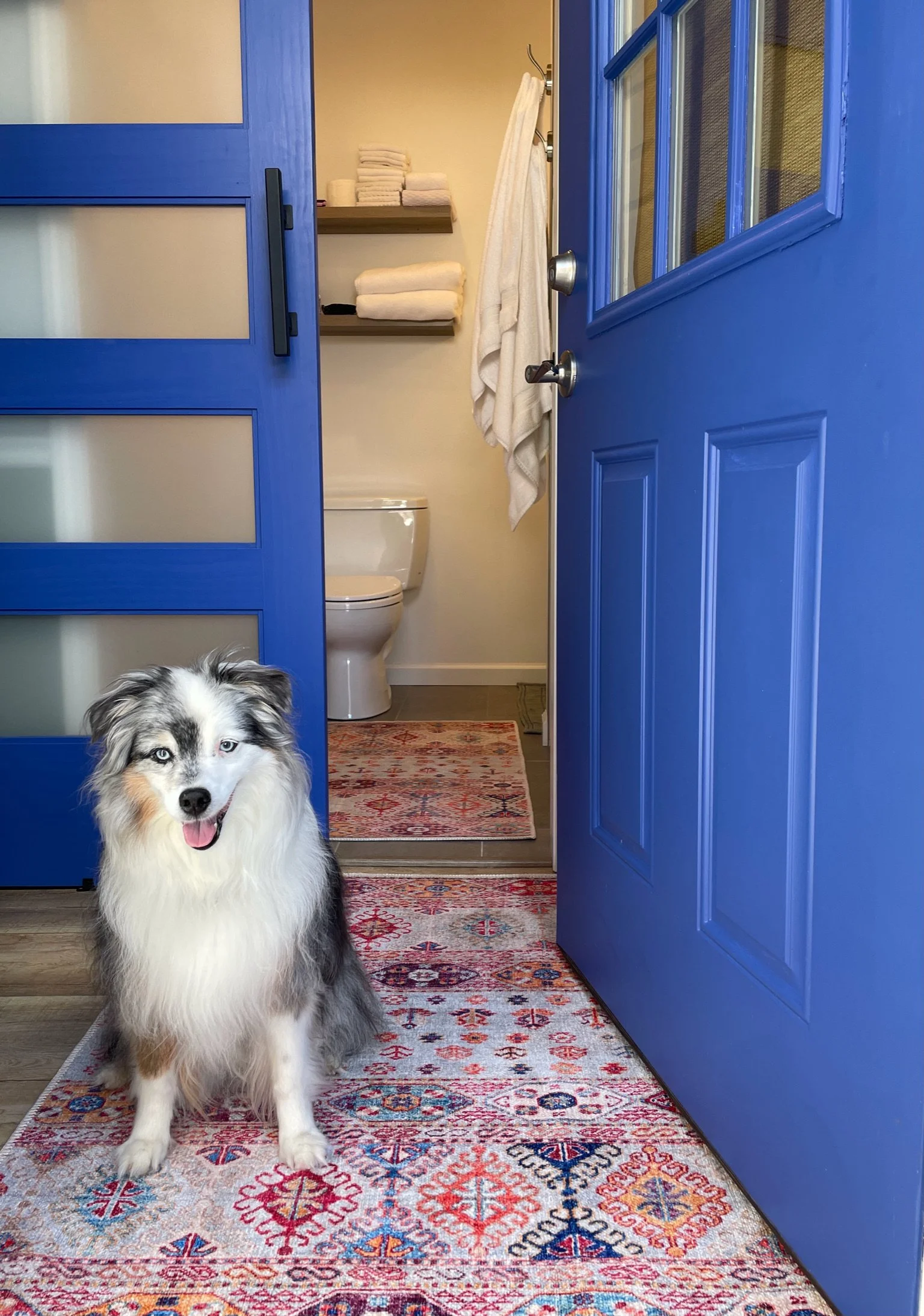 PROJECT PORTFOLIO — Singer Interiors