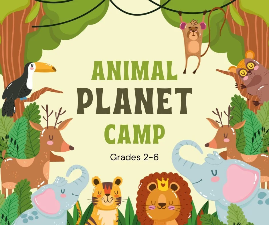 Wild Adventures Await