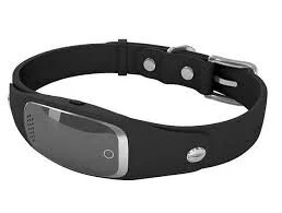 smart pet collar