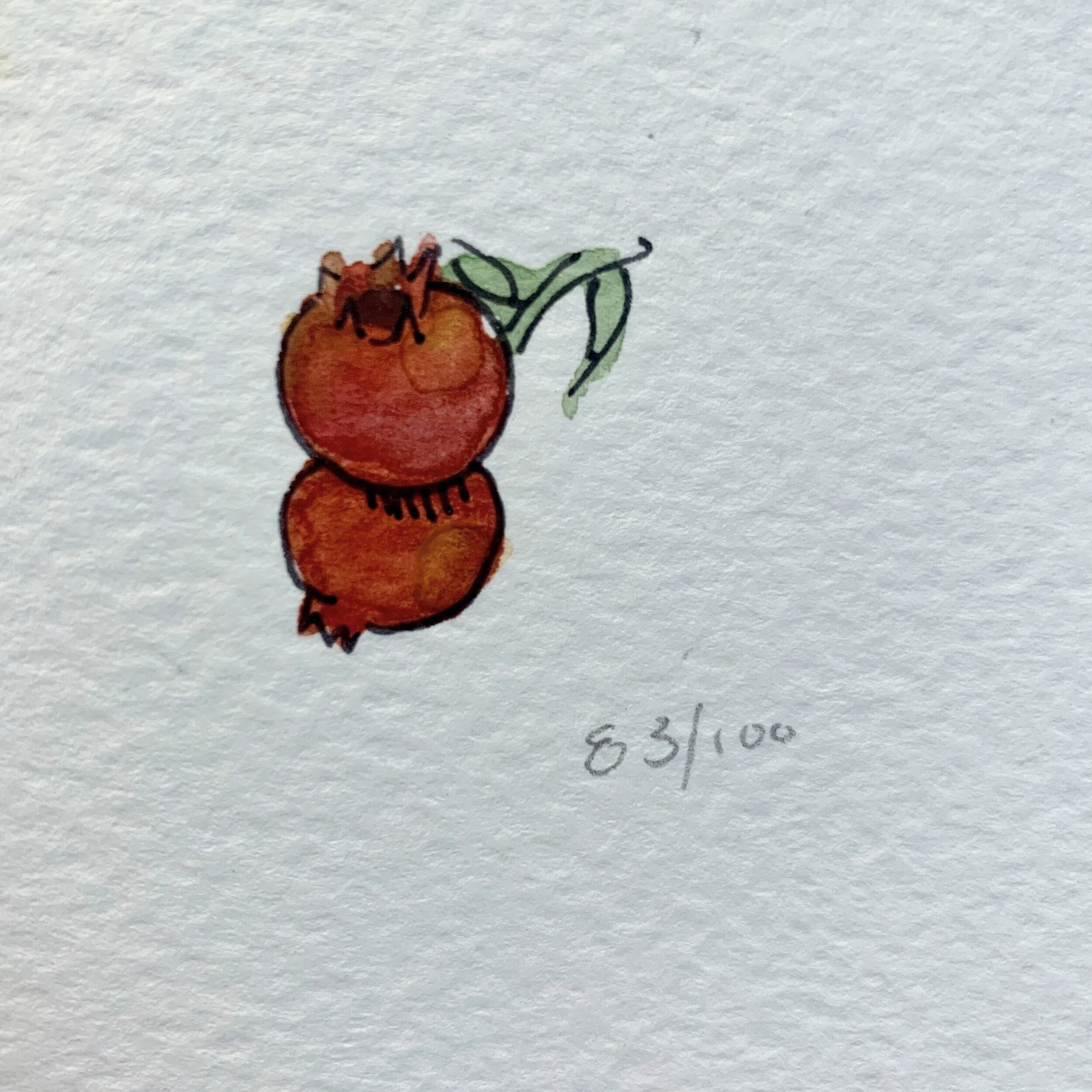 Tiny pomegranates! I was loving the tiny drawings at this point.