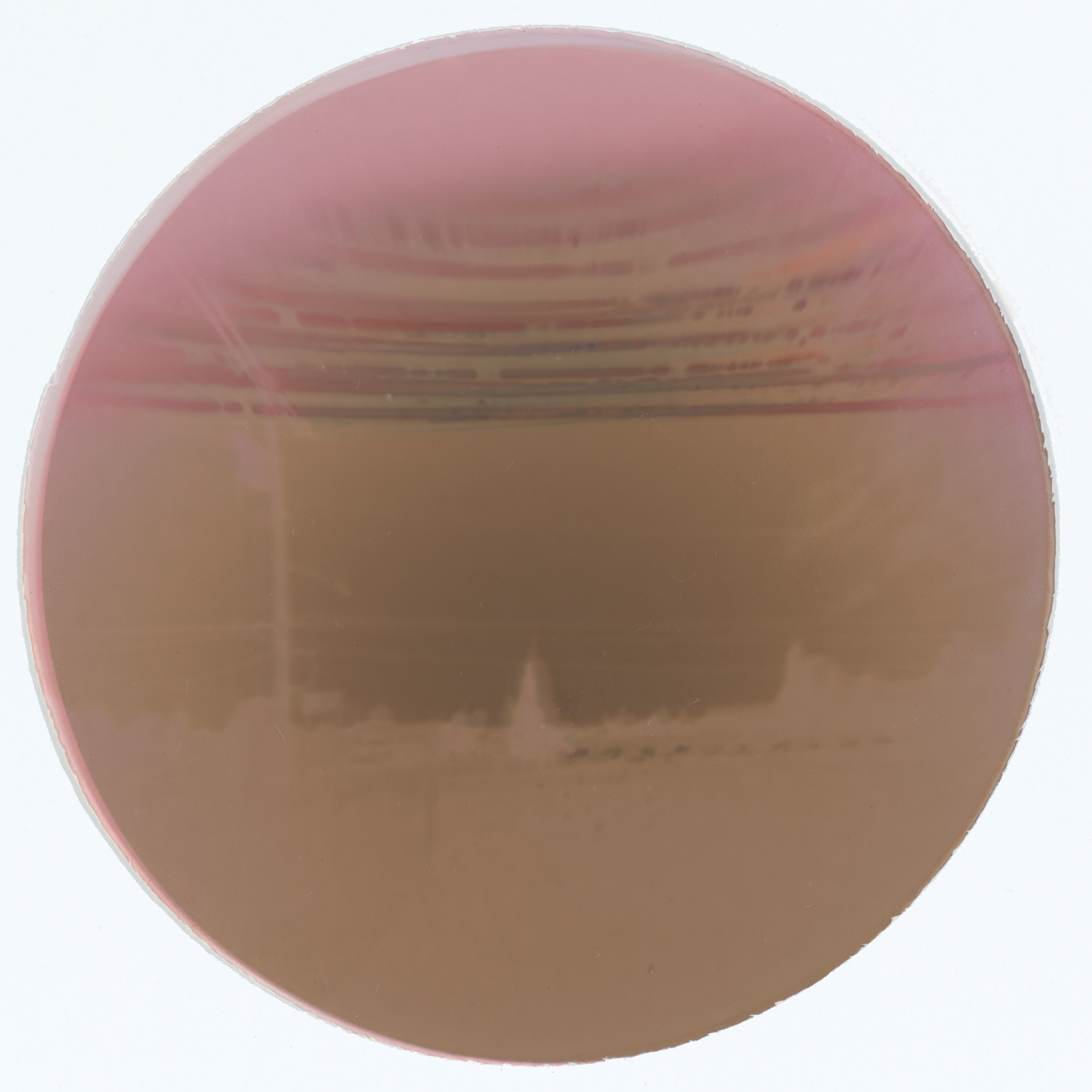 spring-fallSolarcan_negative.jpg