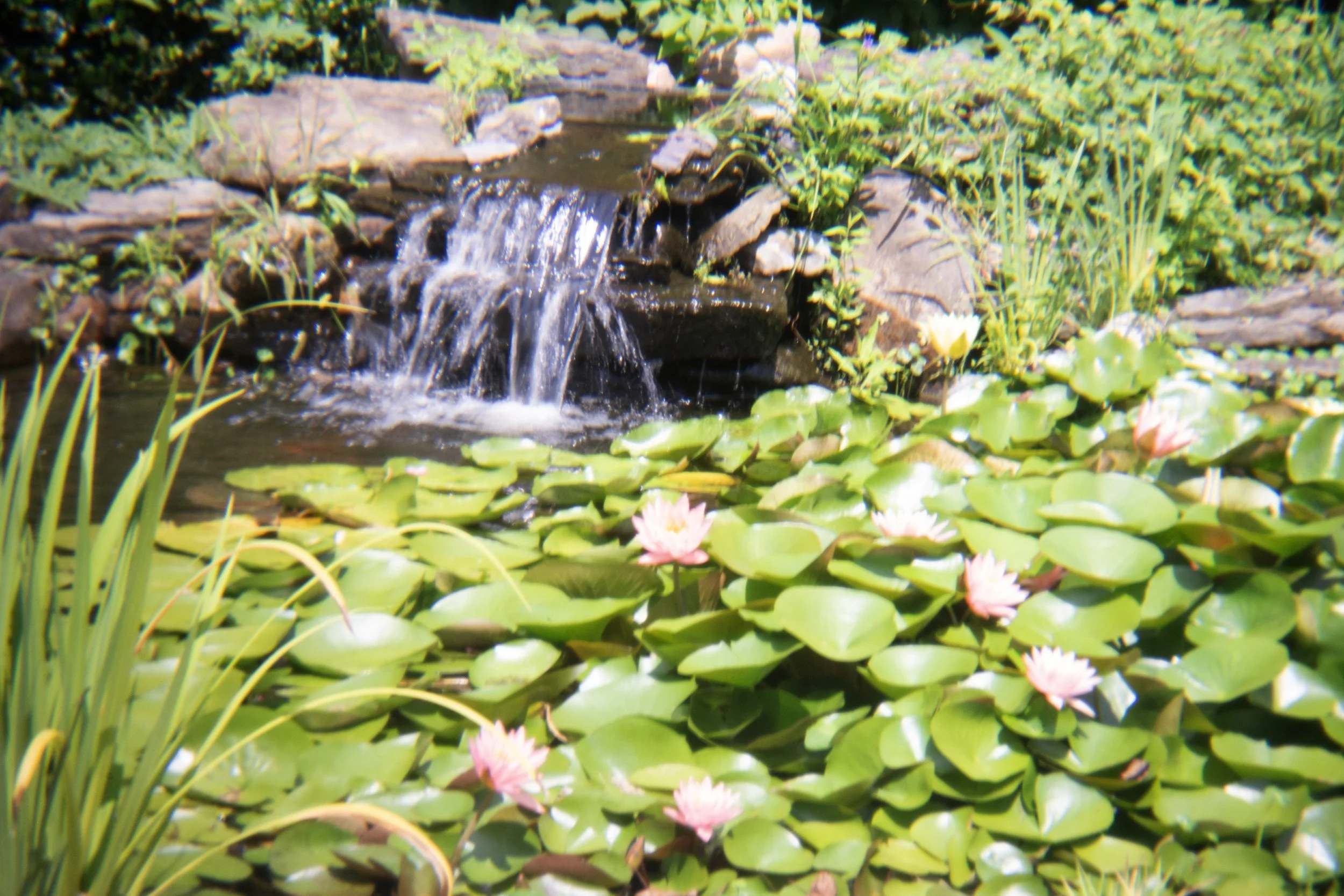 DSC_1398.jpg