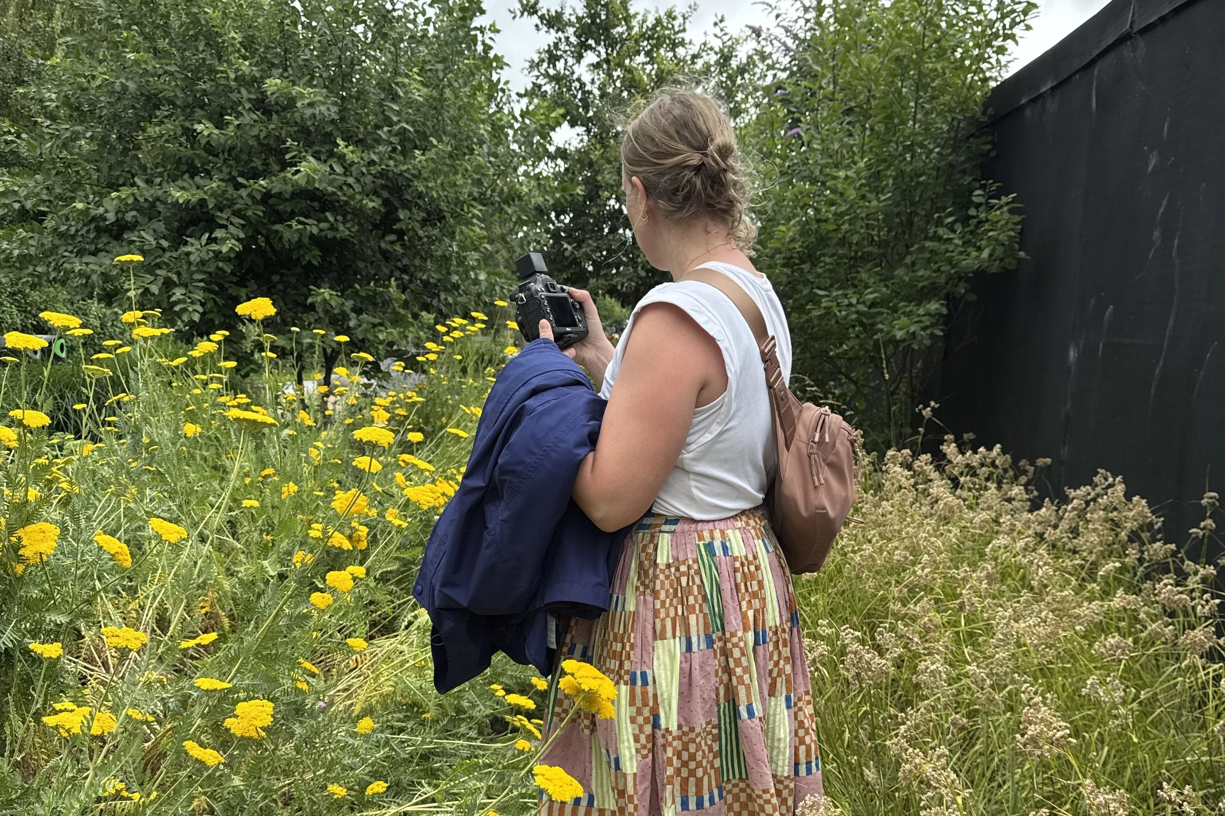 Made big plans for the year, then ignored my blog for six months…