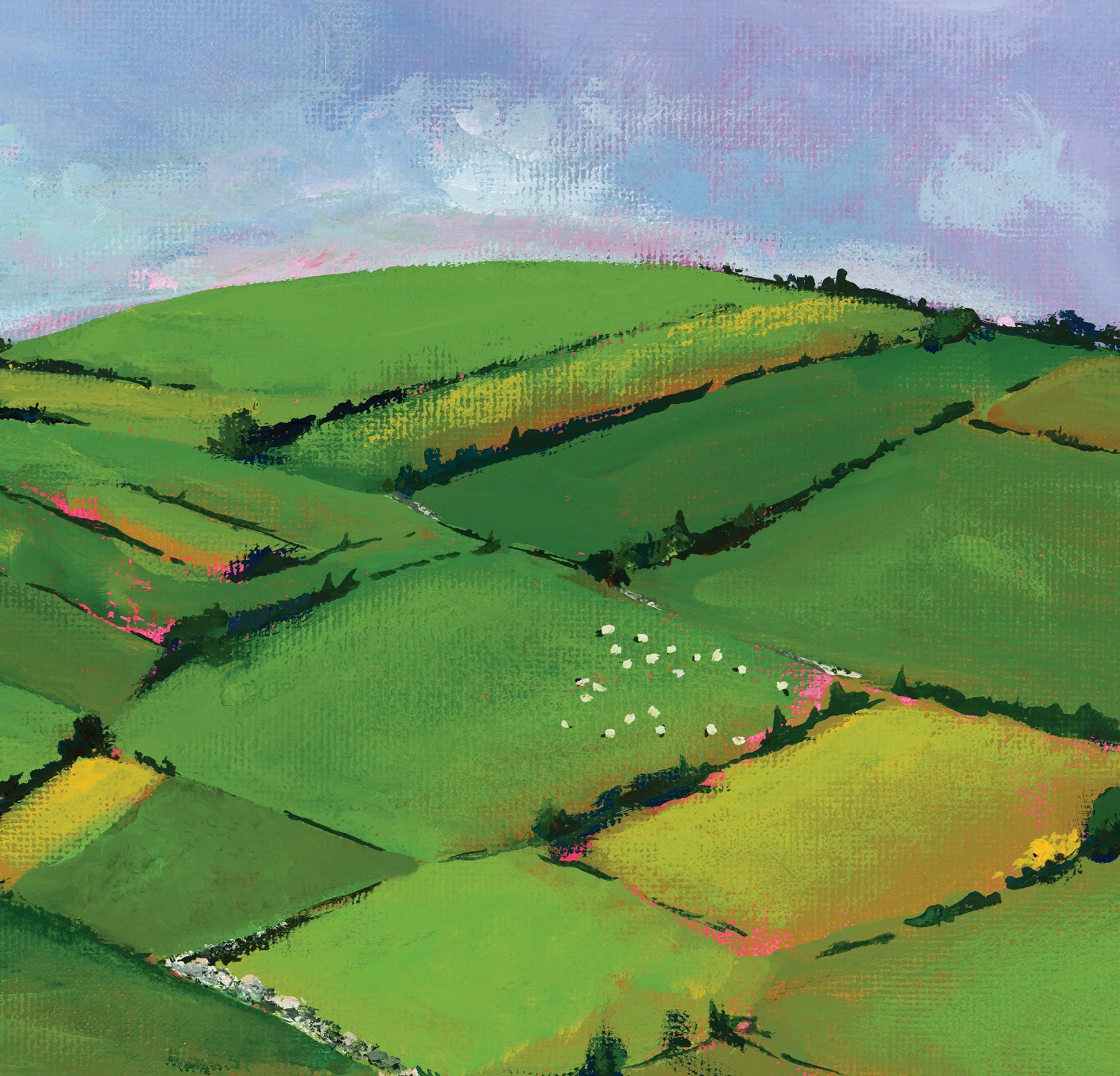 Sheep_hills_detail2.jpg