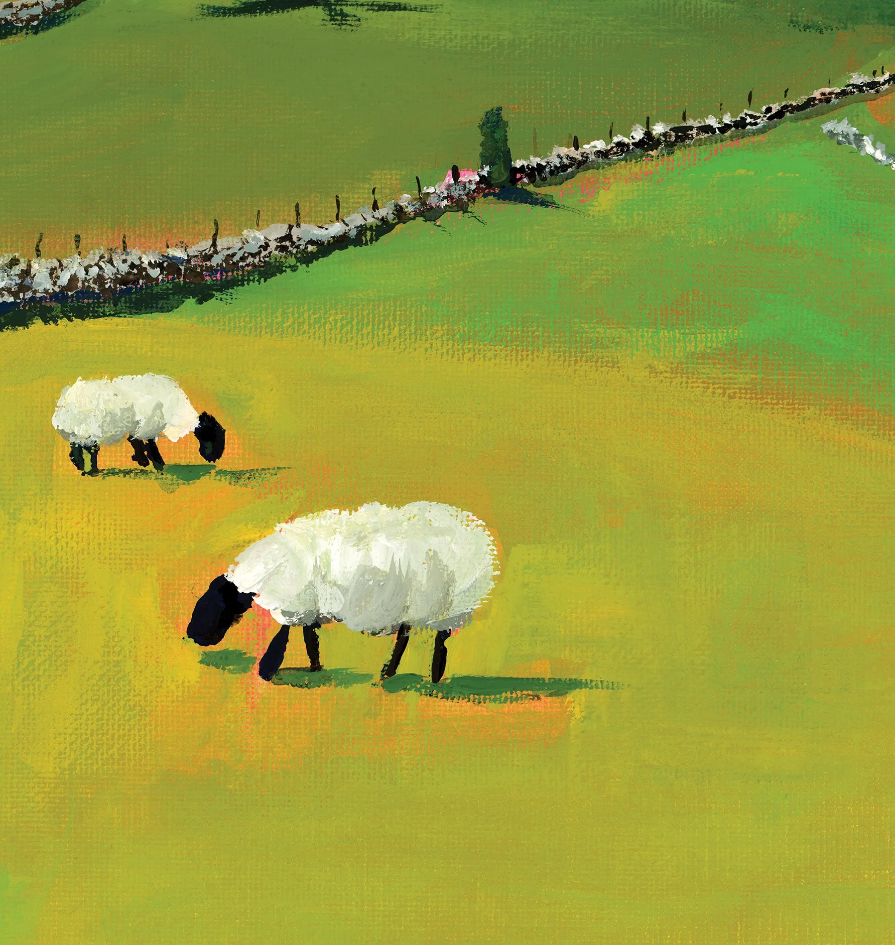 Sheep_hills_detail.jpg