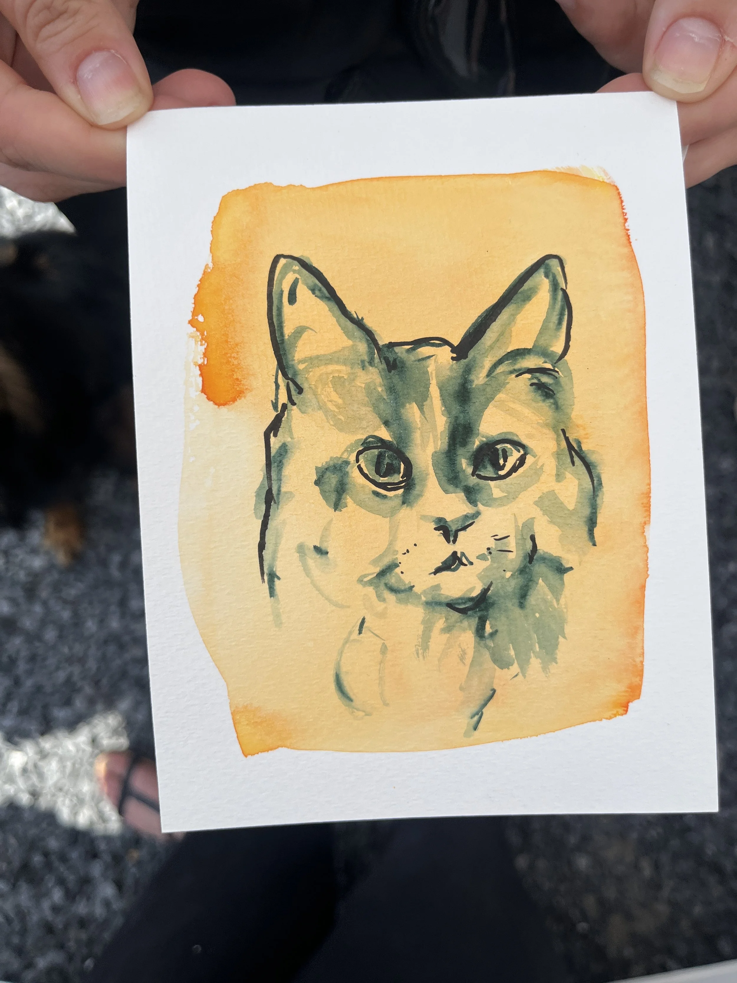 A sketch of a cat on a yellow-orange background.