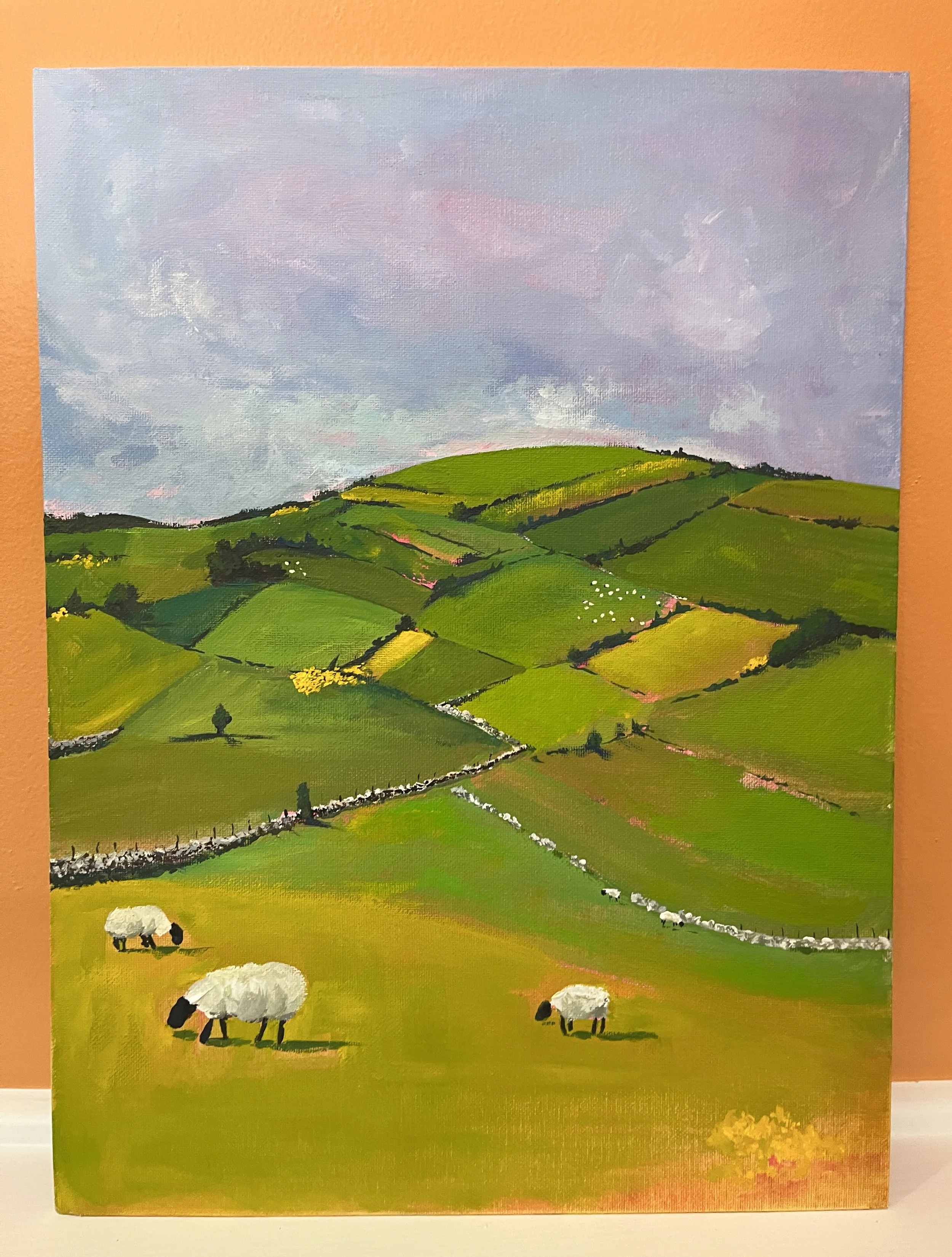 Sheep_hills_shelf.jpg