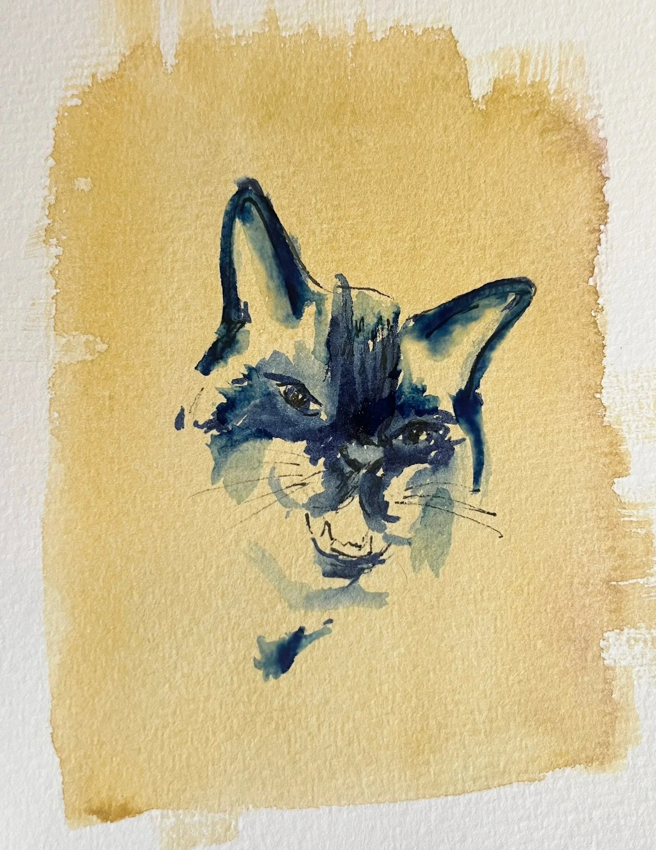 Illustration of a cat with an open mouth on a yellow background.