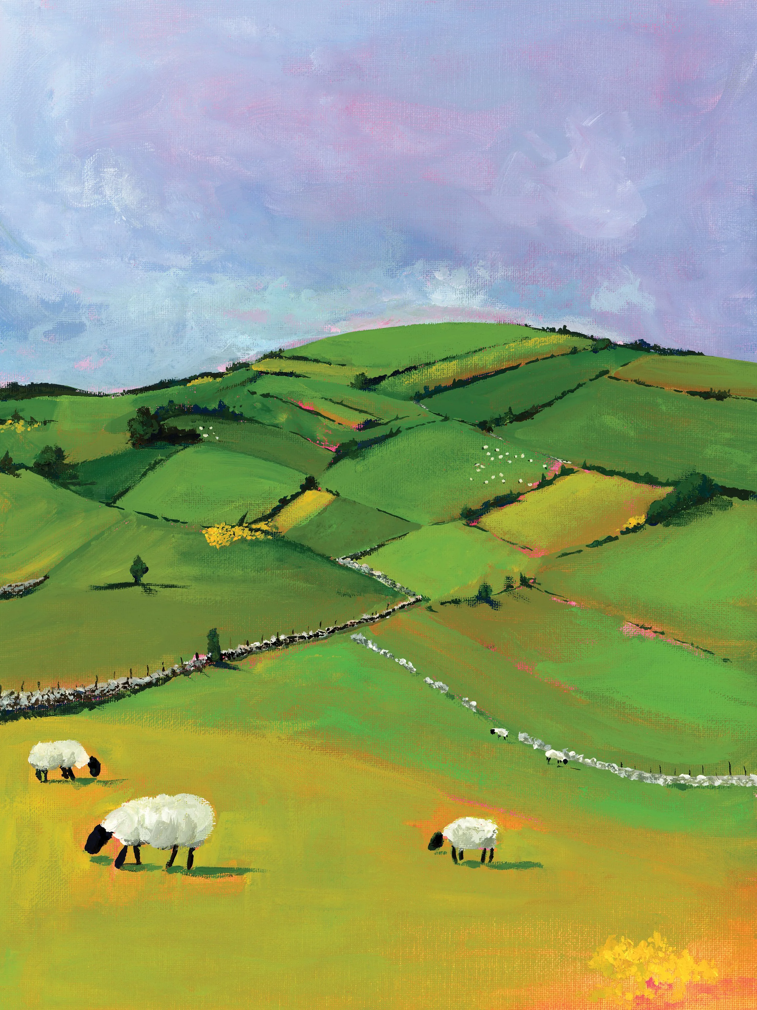 Irish Sheep and Rolling Hills print