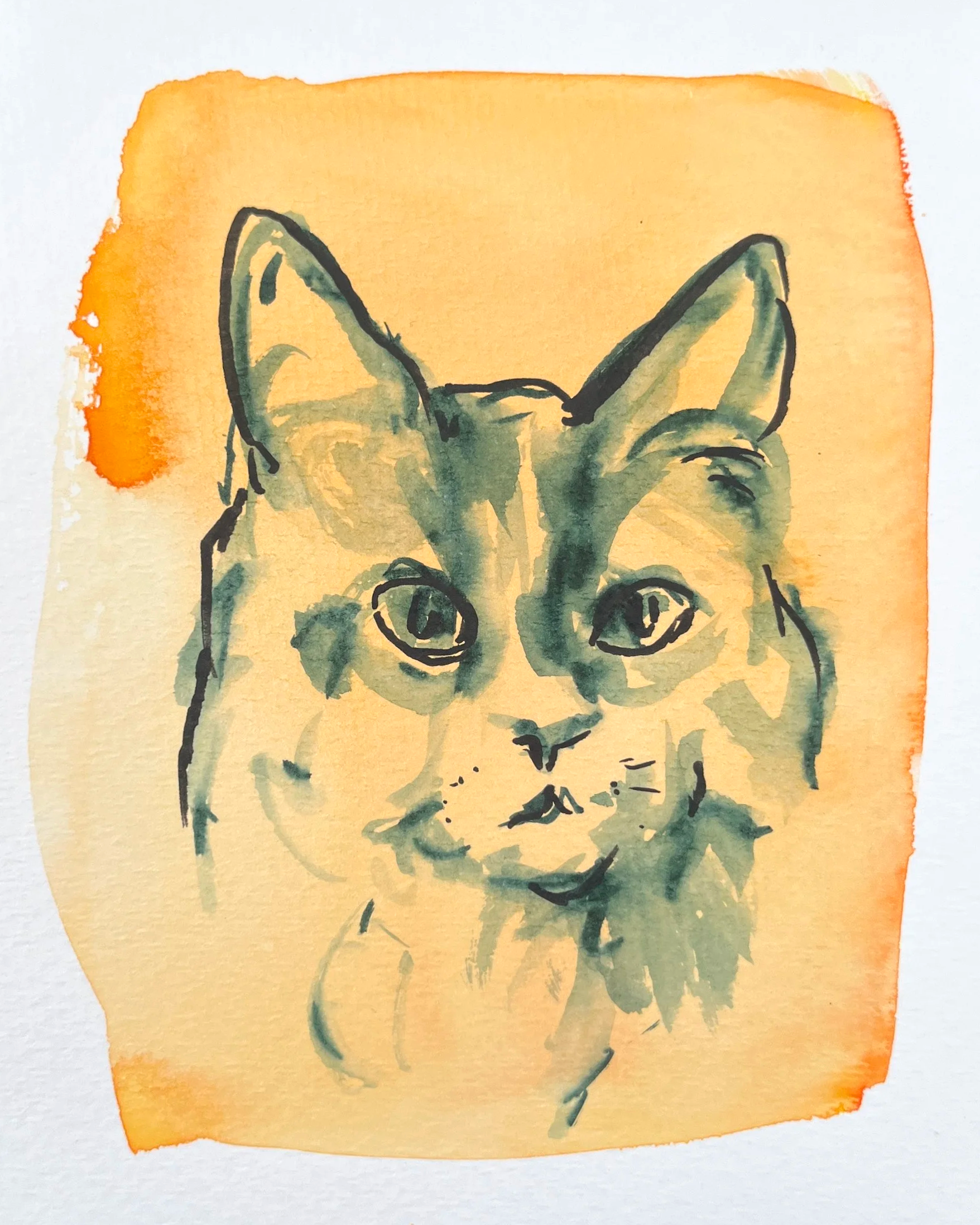 A sketch of a cat on a yellow-orange background.