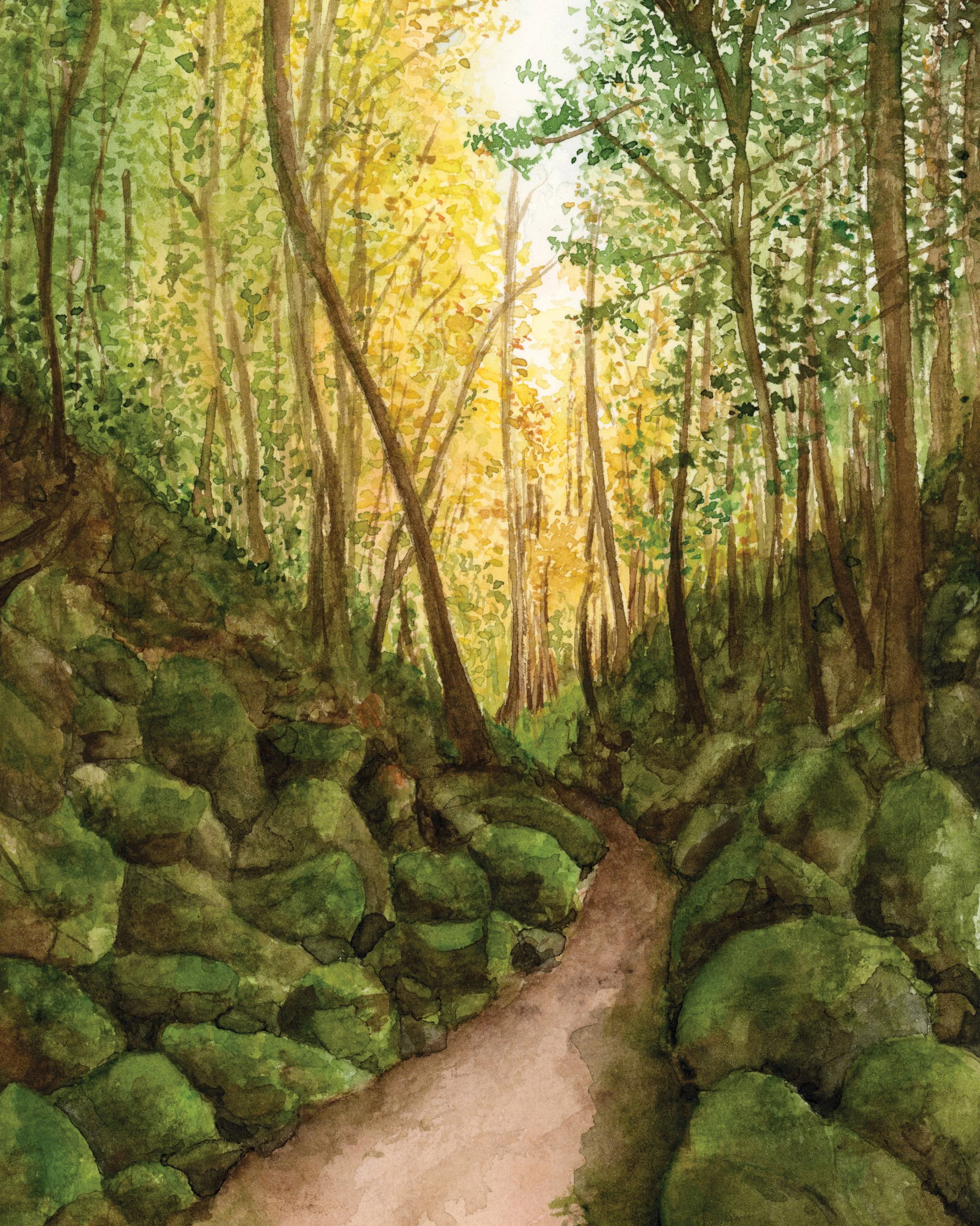 Cascades Trail print