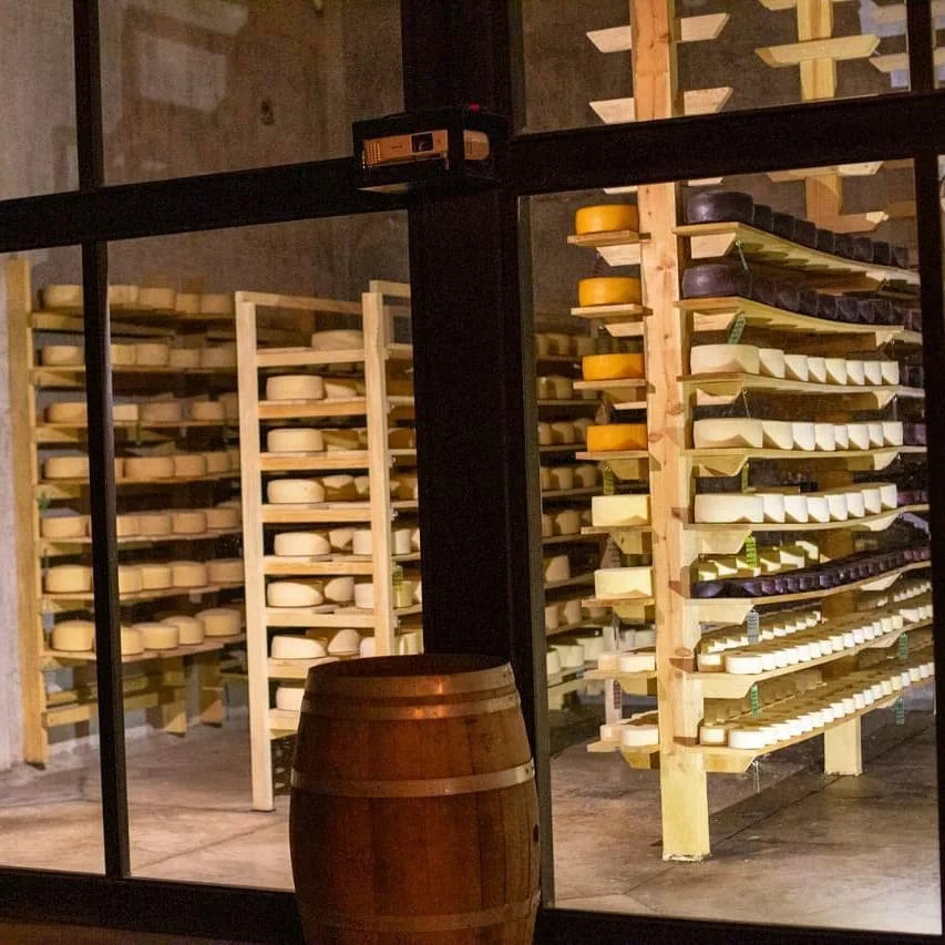 Cava de Quesos Bocanegra.jpg