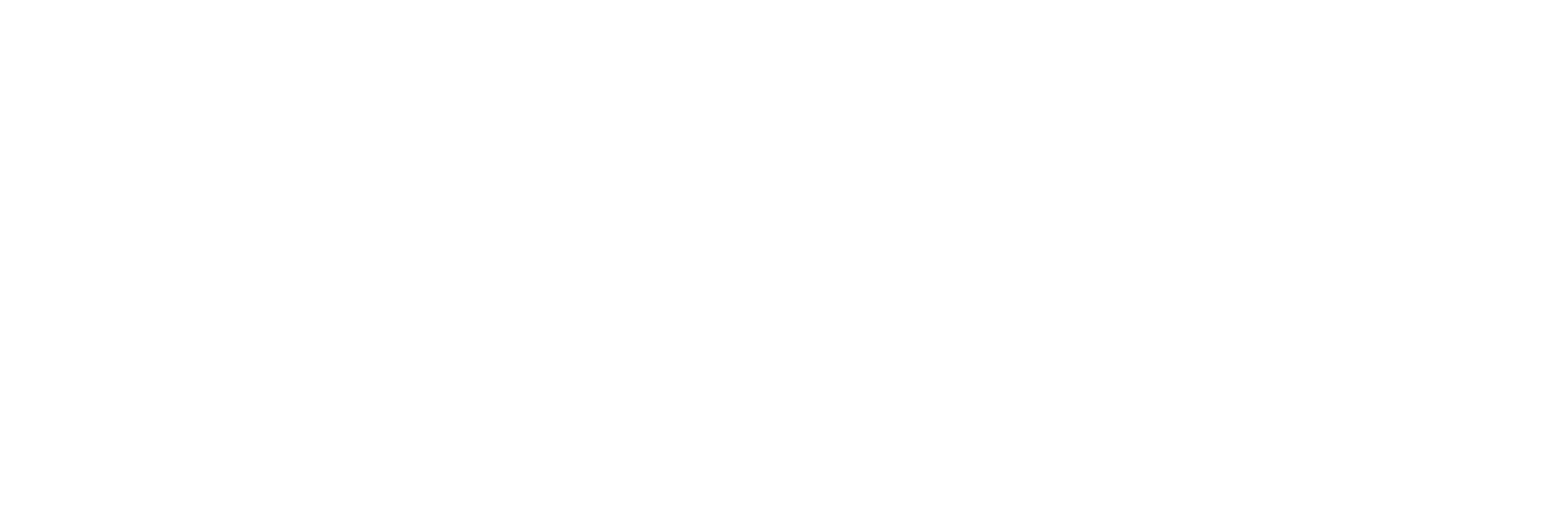 Phoenix Brands LLC