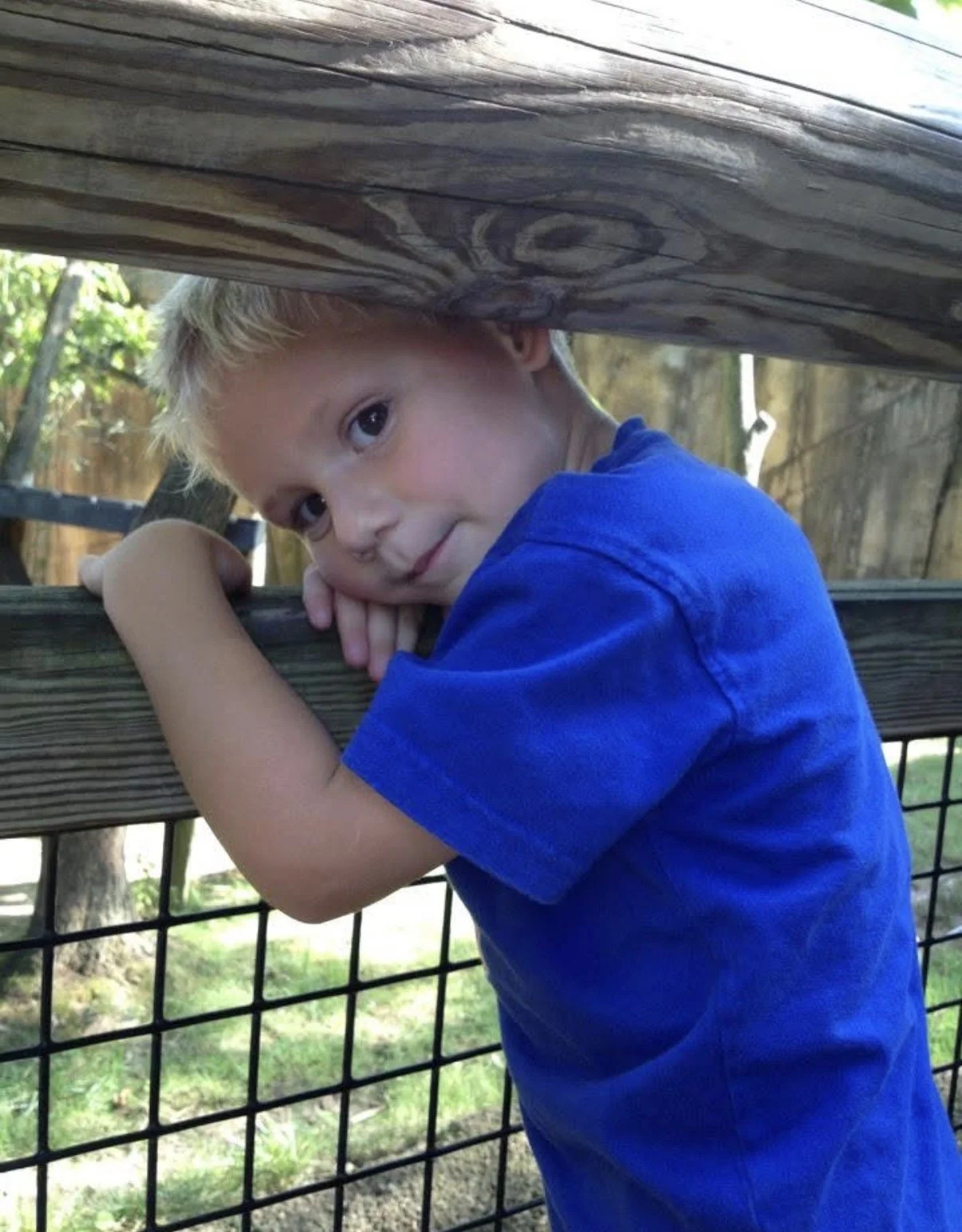 The child who got their head stuck. at the zoo.