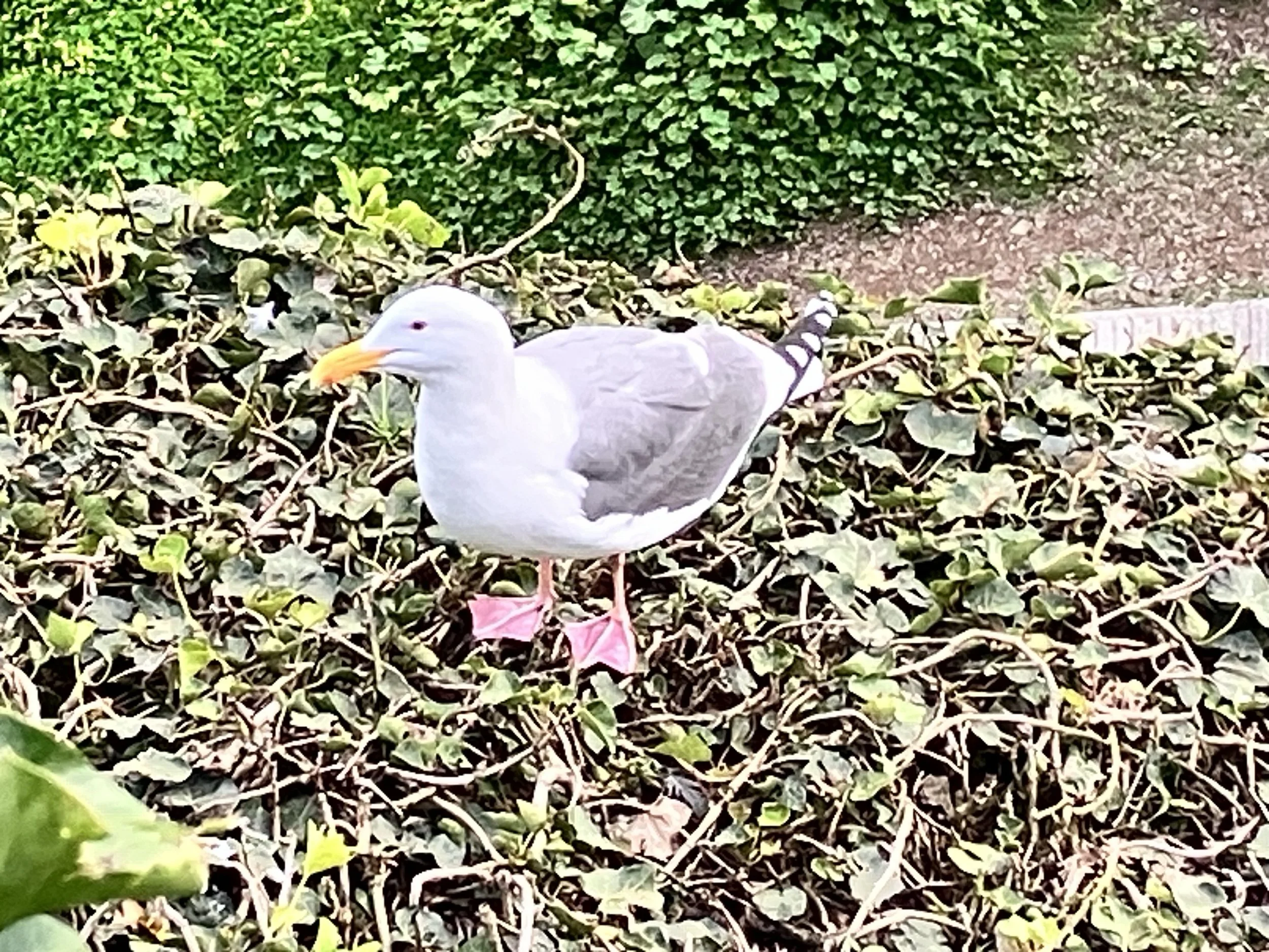 IMG_20260323_190538 (5).jpg