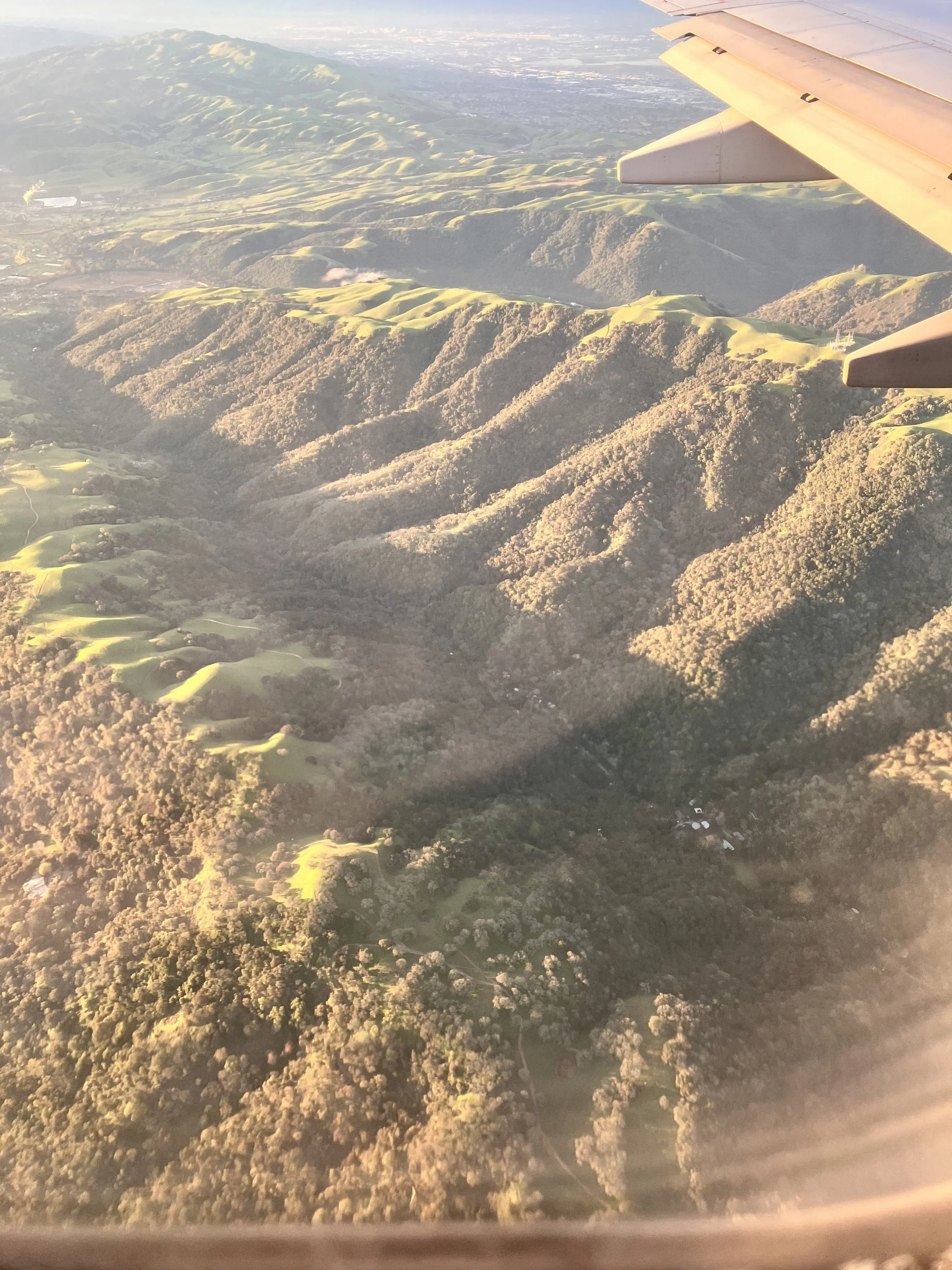 IMG_20260323_190540 (3).jpg