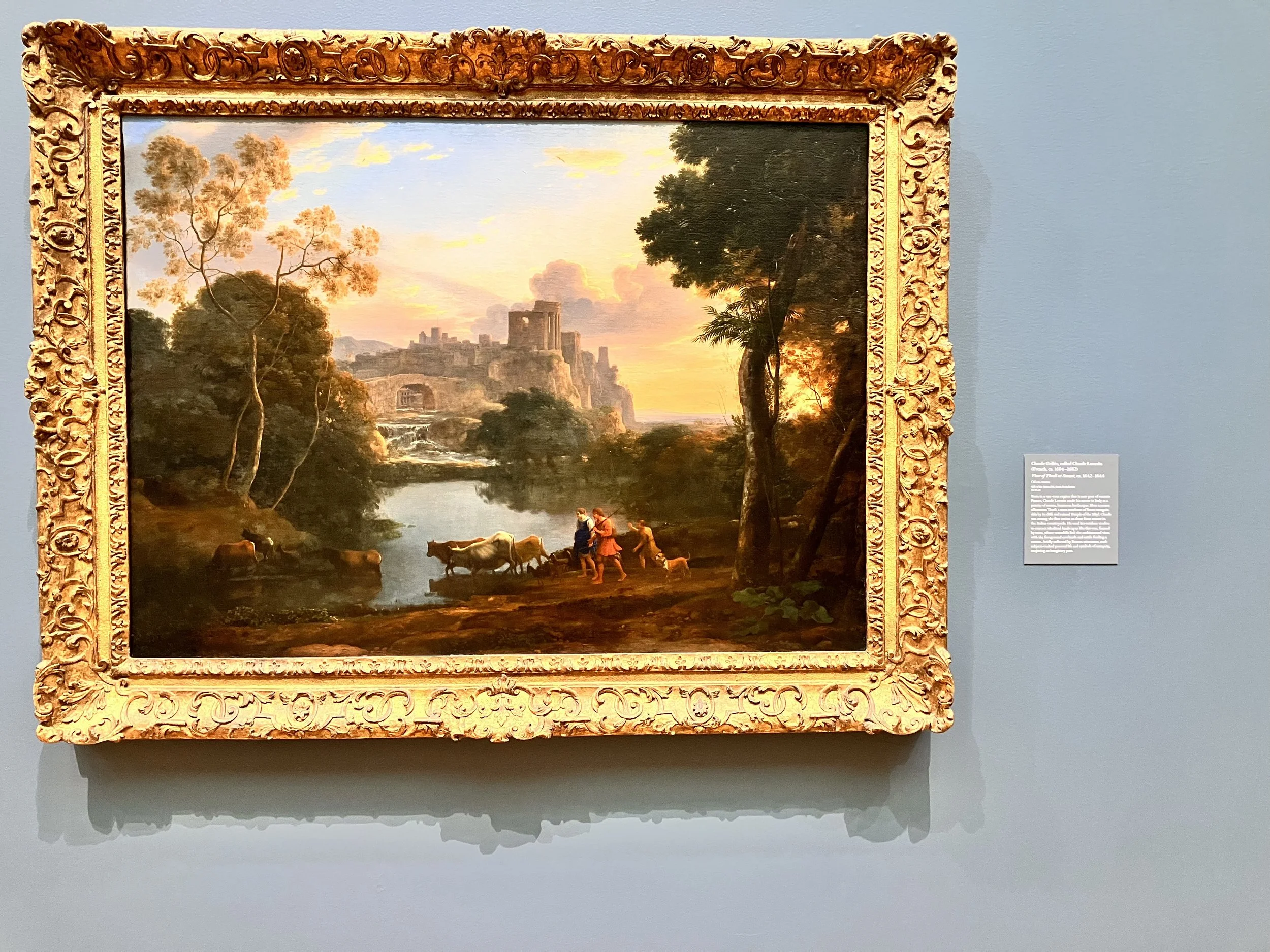 IMG_20260323_190537 (17).jpg