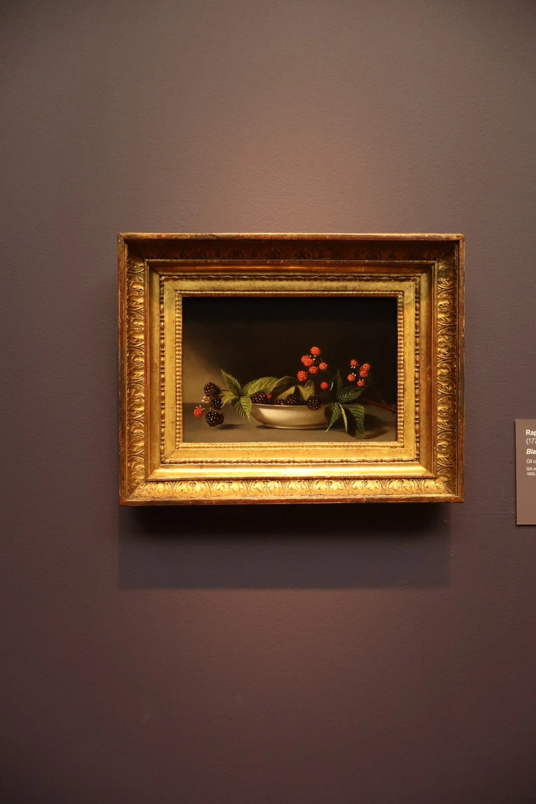 IMG_20260323_190840 (7).jpg