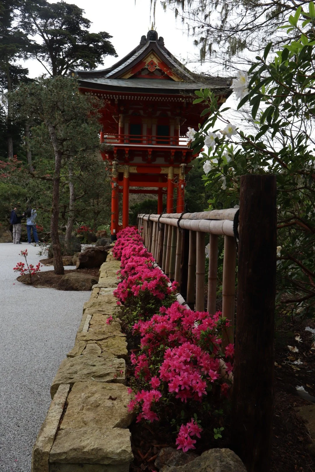 IMG_20260323_190840 (2).jpg