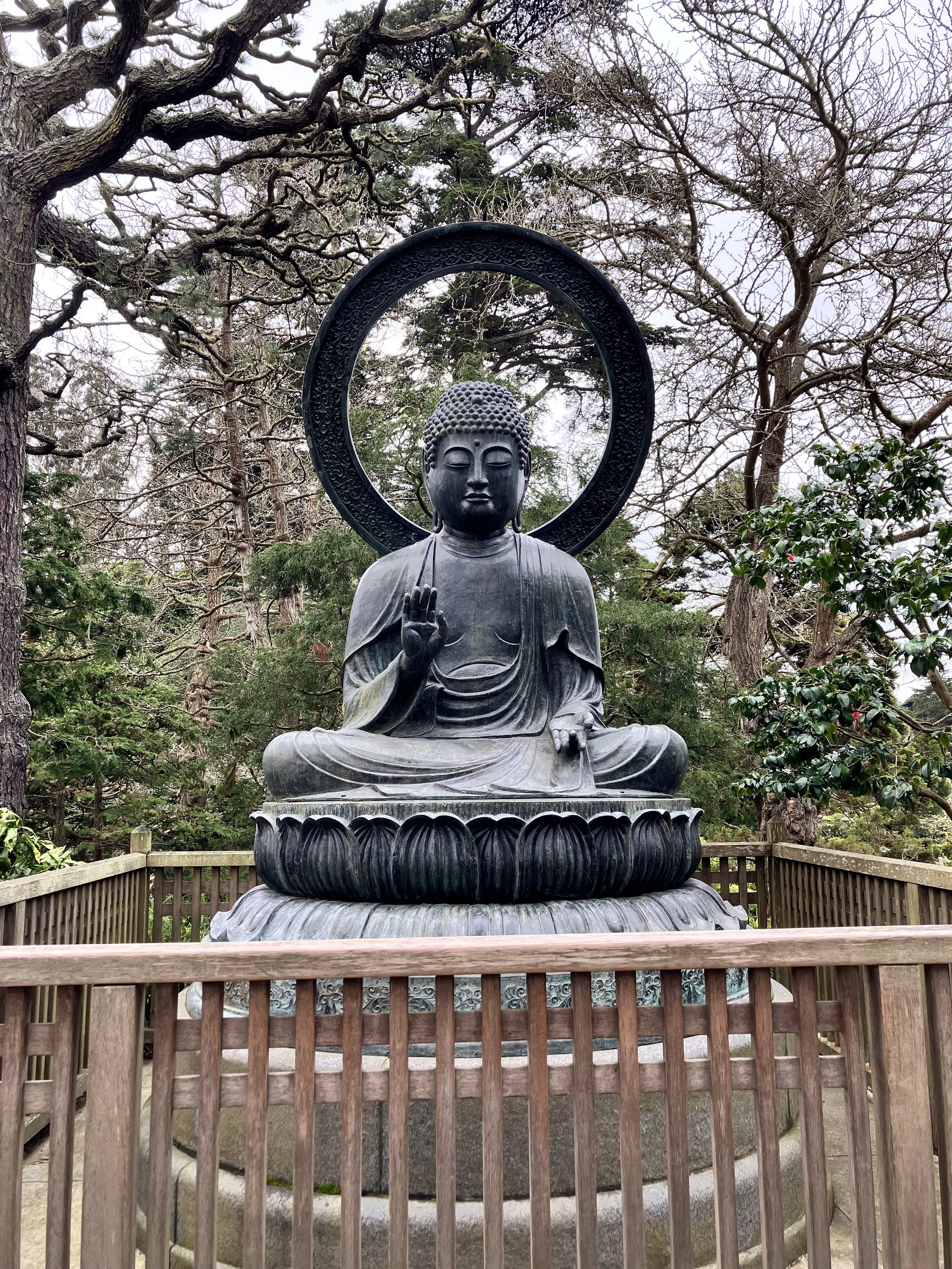 IMG_20260323_190539 (15).jpg