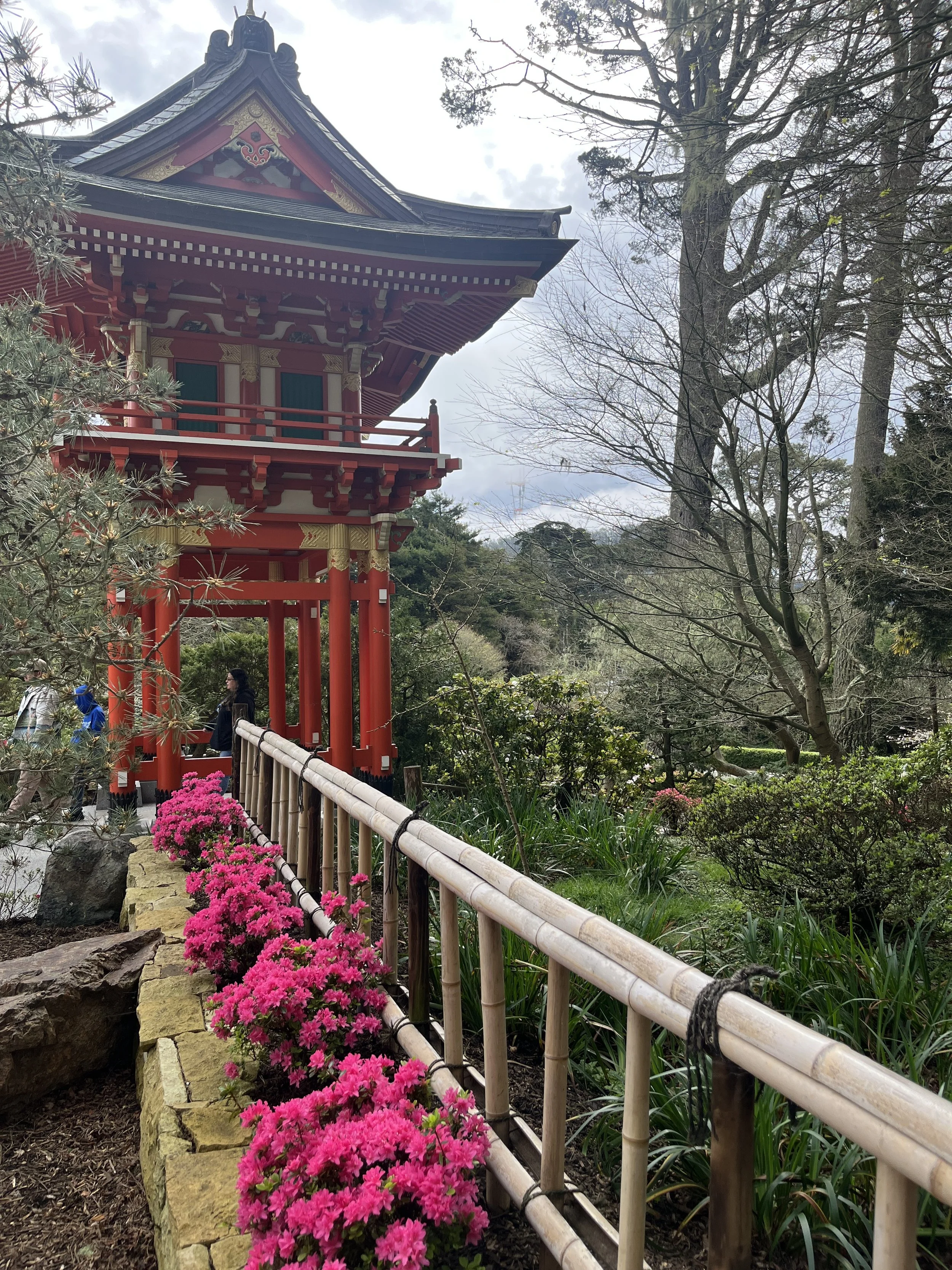 IMG_20260323_191046 (6).jpg