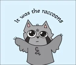 Aubrey R - Raccoon