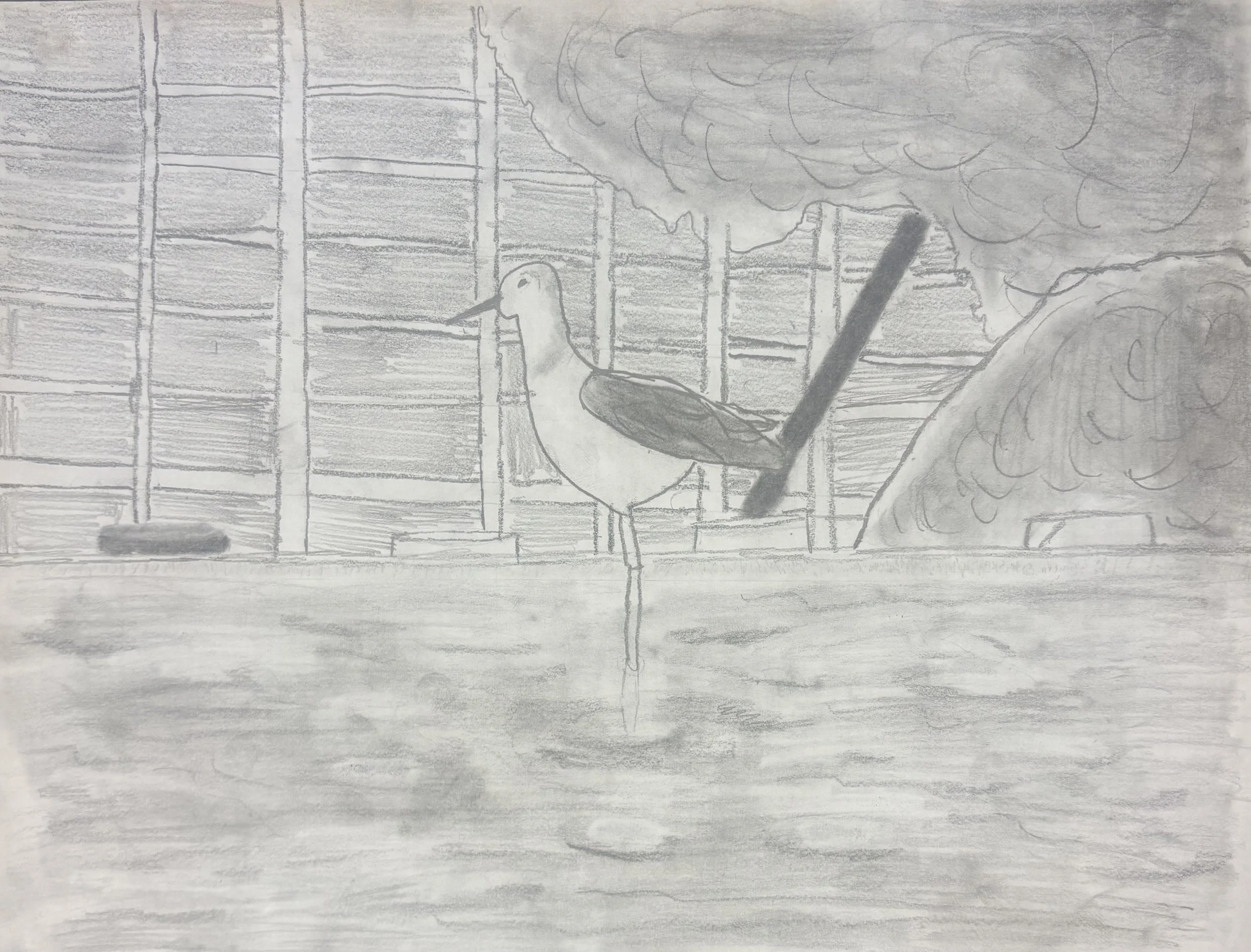 Jacob B - Stilt on the pond