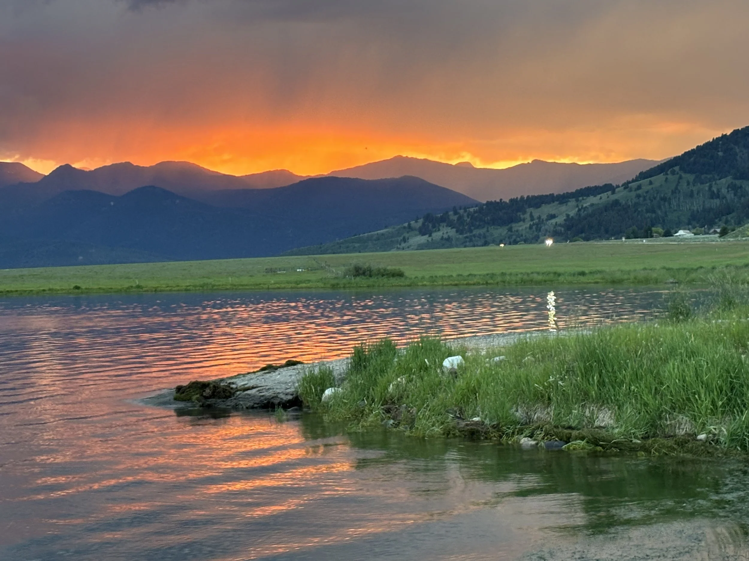 Cole C. - Sun Over the Fish in the Lake 🏅Award of Merit