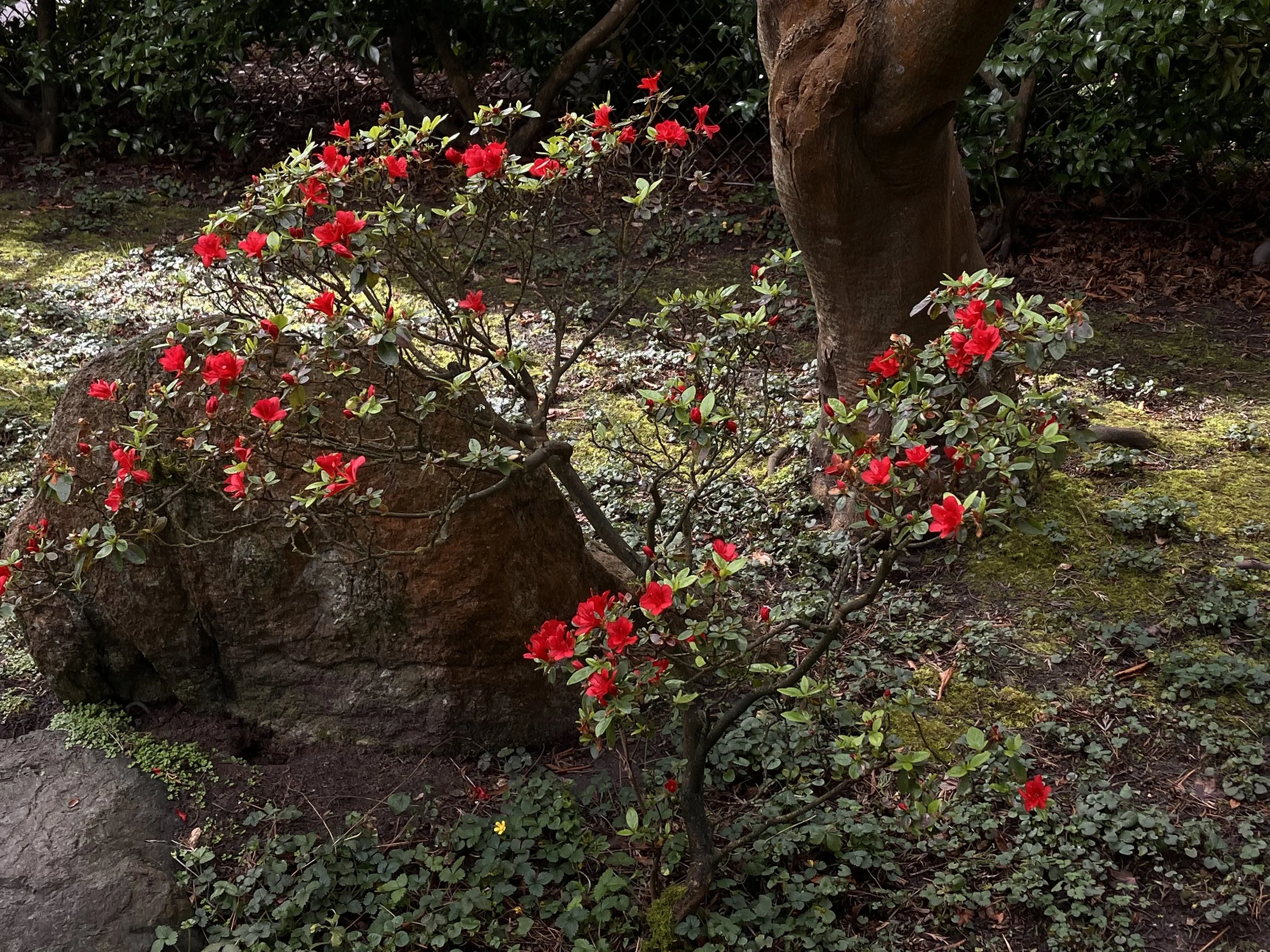 IMG_20260323_190539 (1) (5).jpg