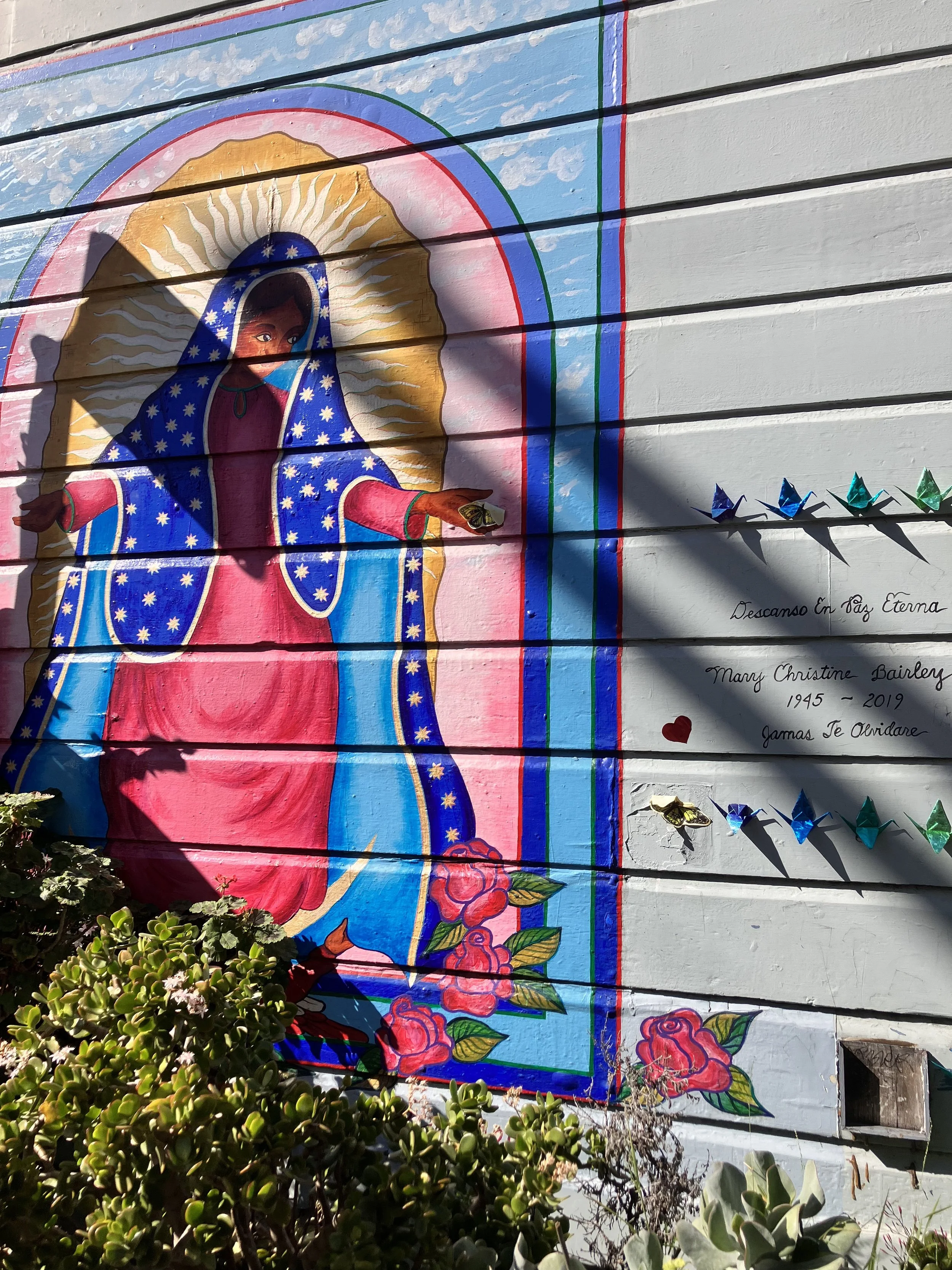 IMG_20260323_190539 (12).jpg