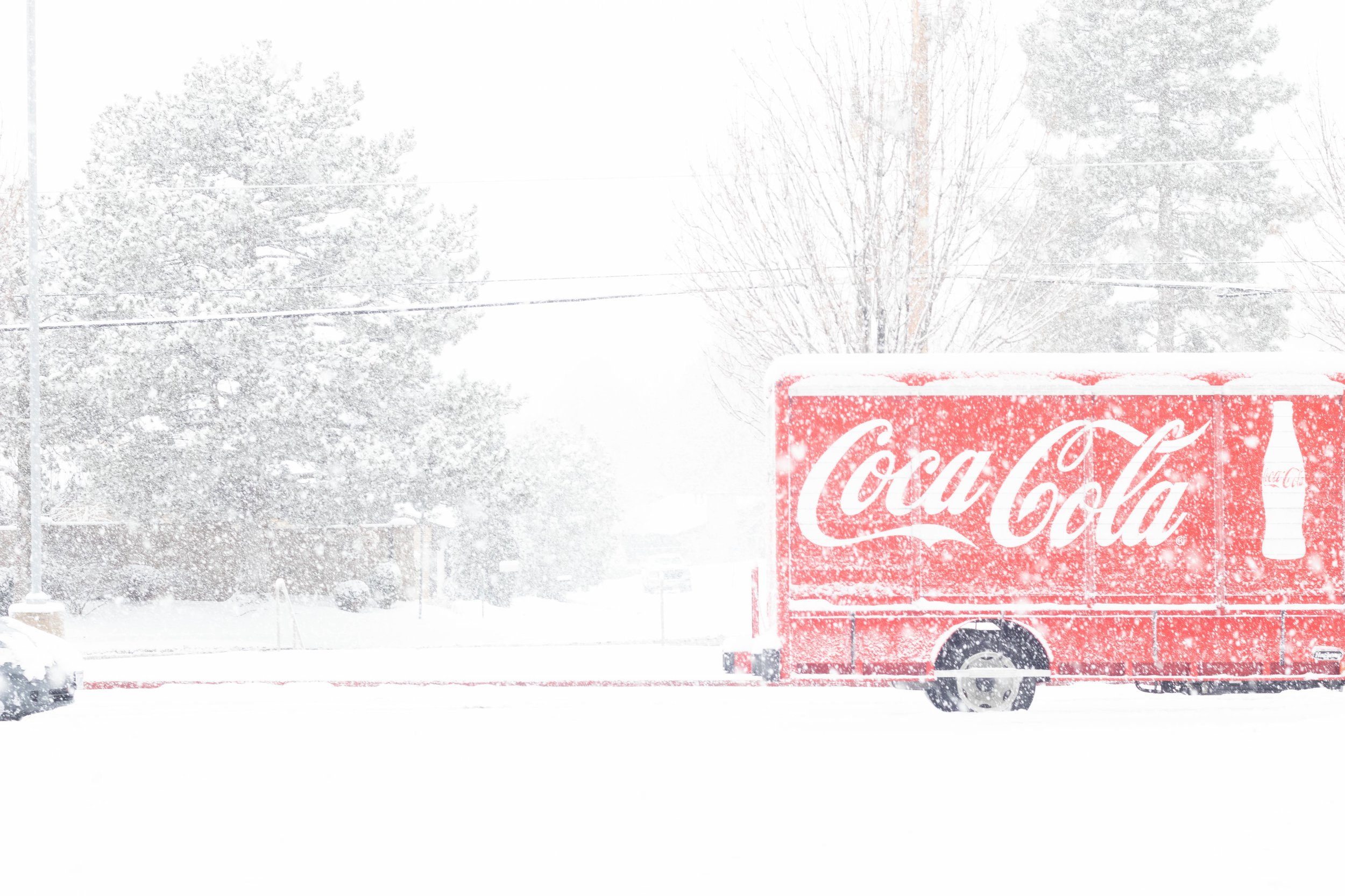 Eliza B. - Snowy Day