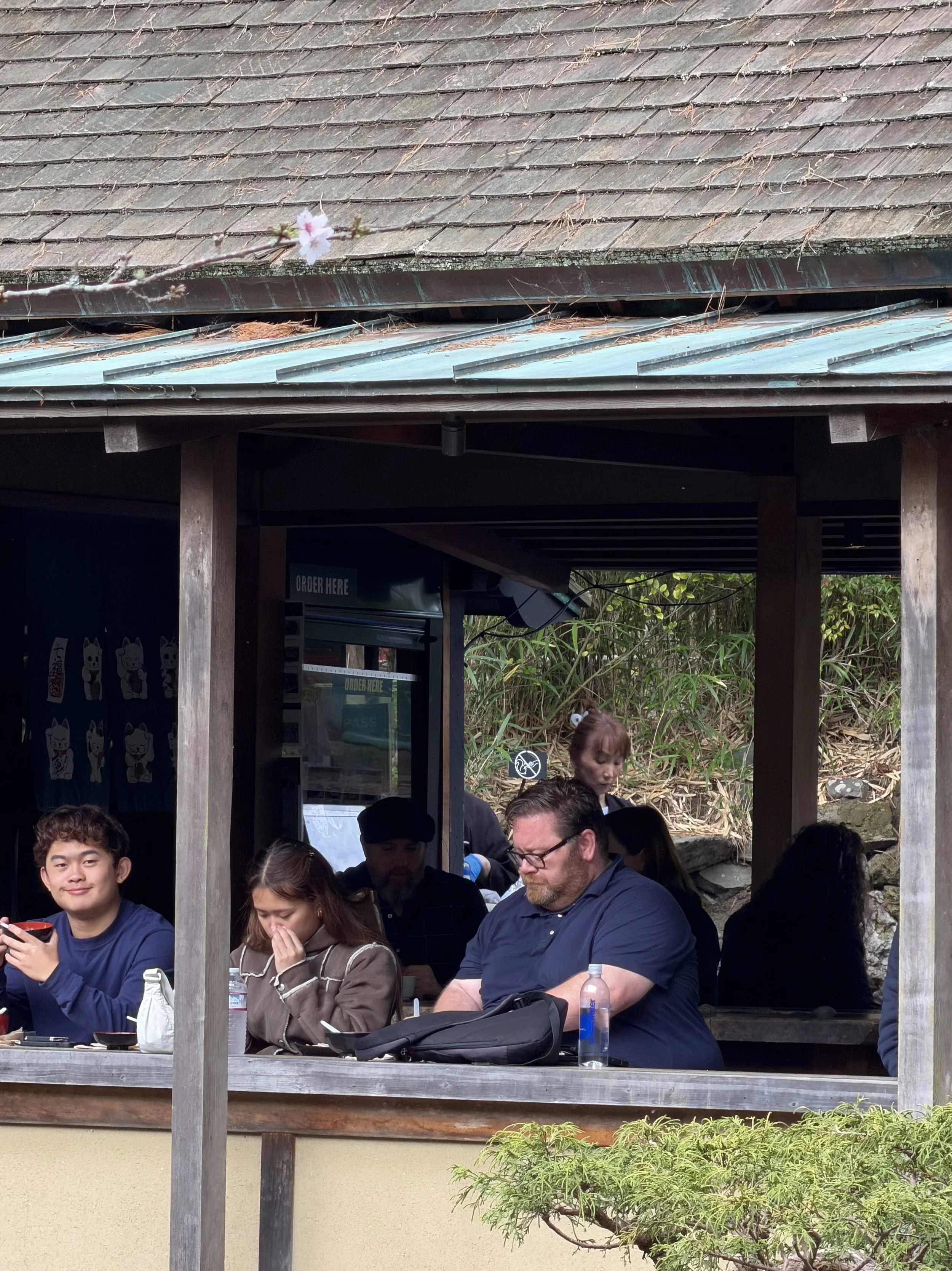 IMG_20260324_085705 (6).jpg