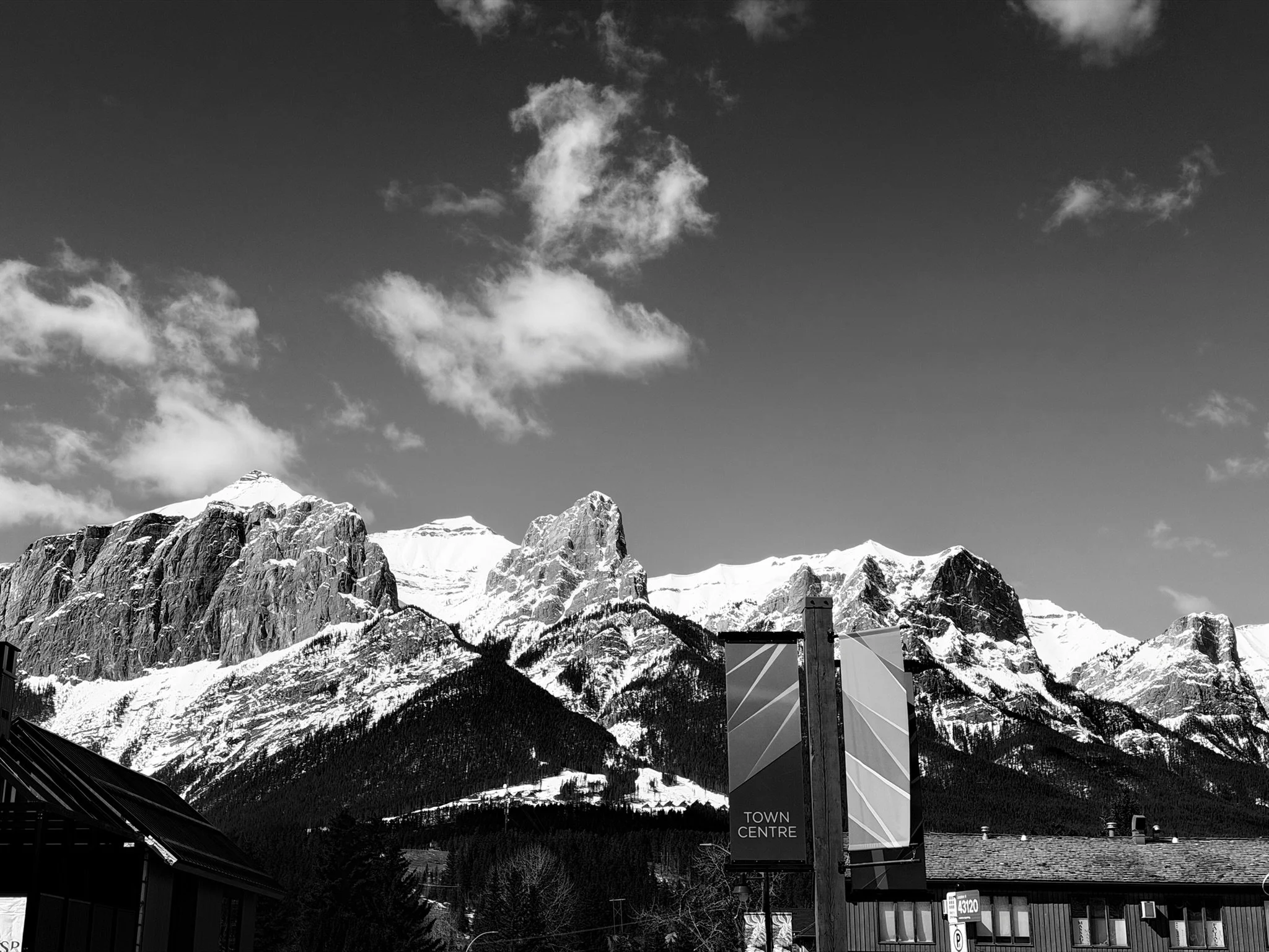 Eli R. - Main Street Canmore 🏅Award of Merit
