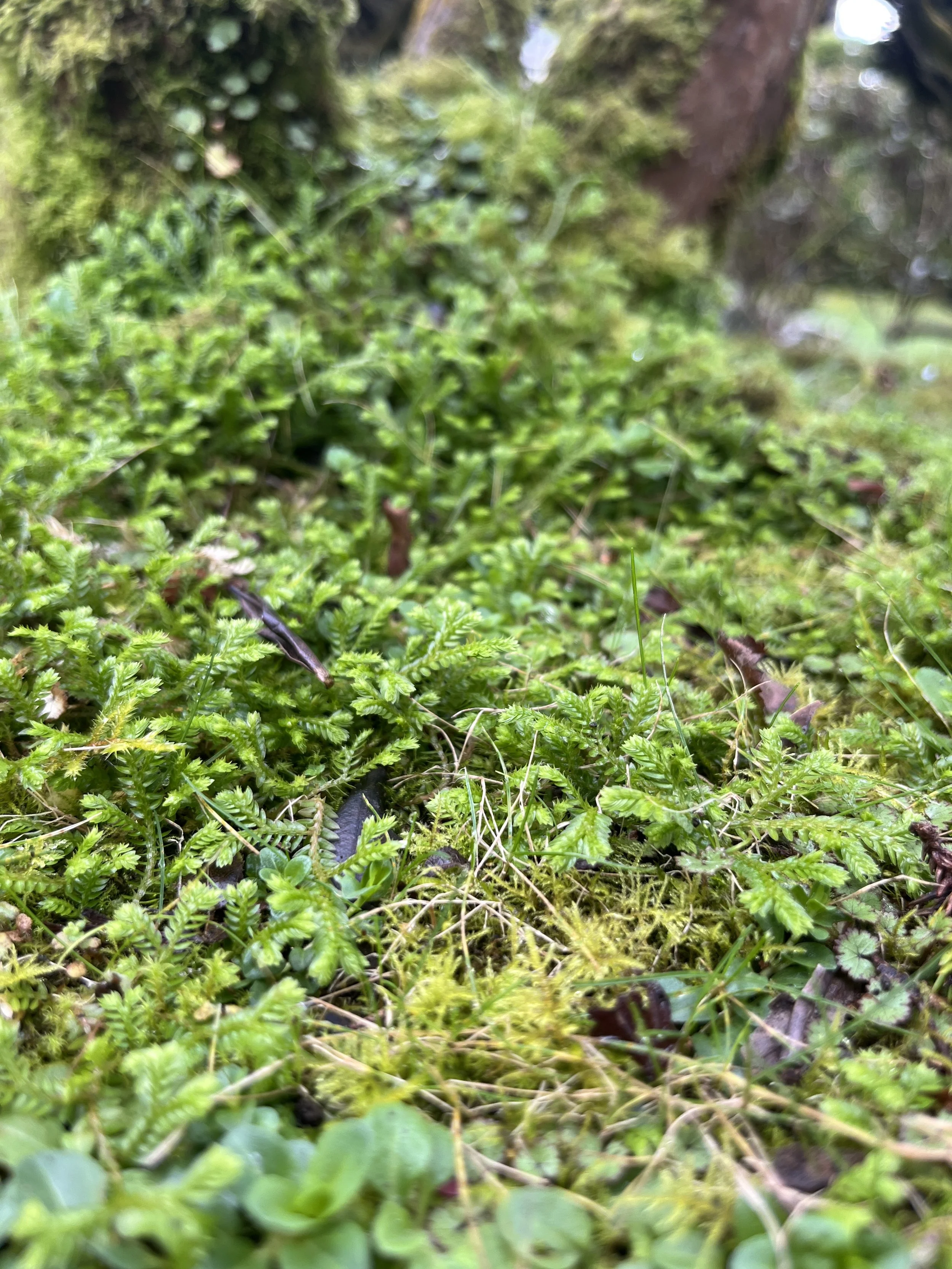 IMG_20260323_191046 (8).jpg