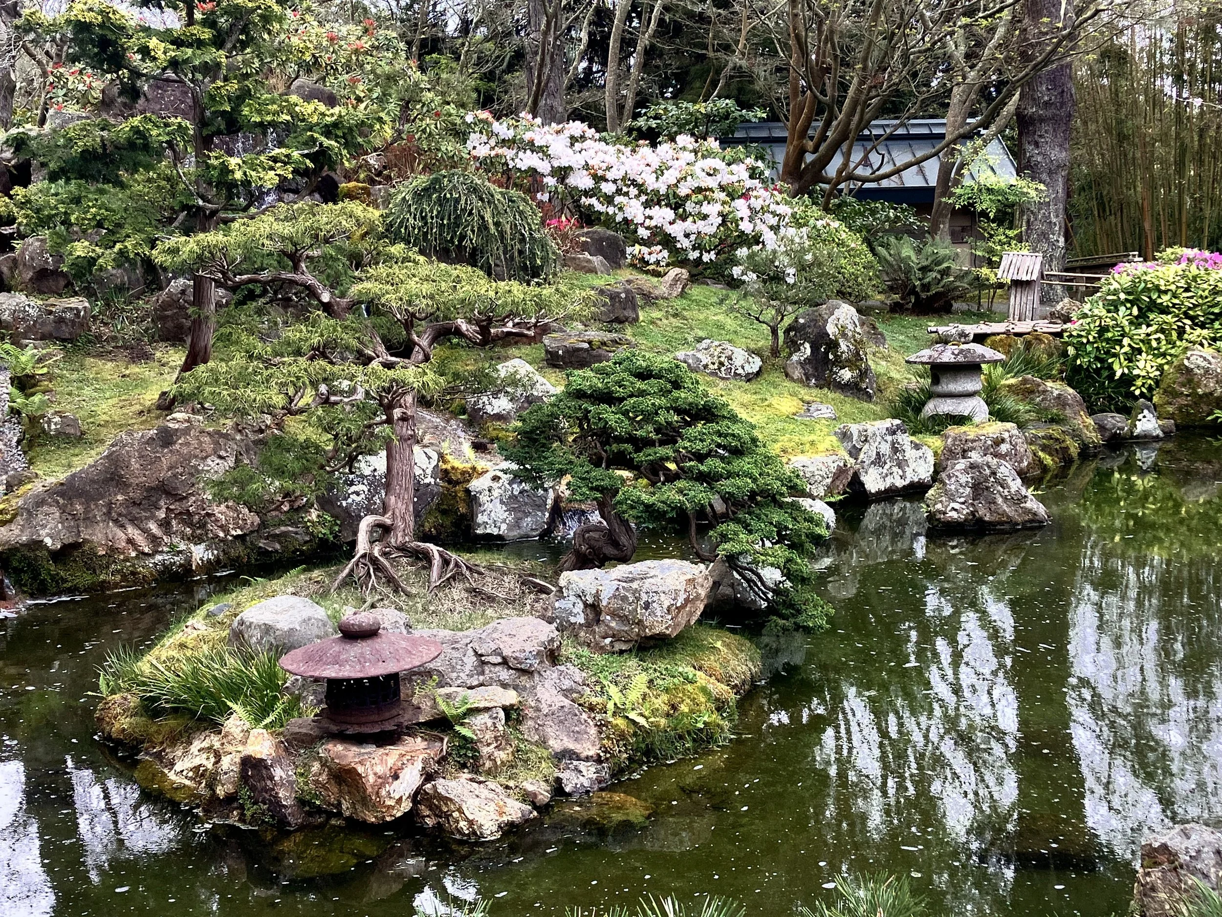 IMG_20260323_190539 (16).jpg