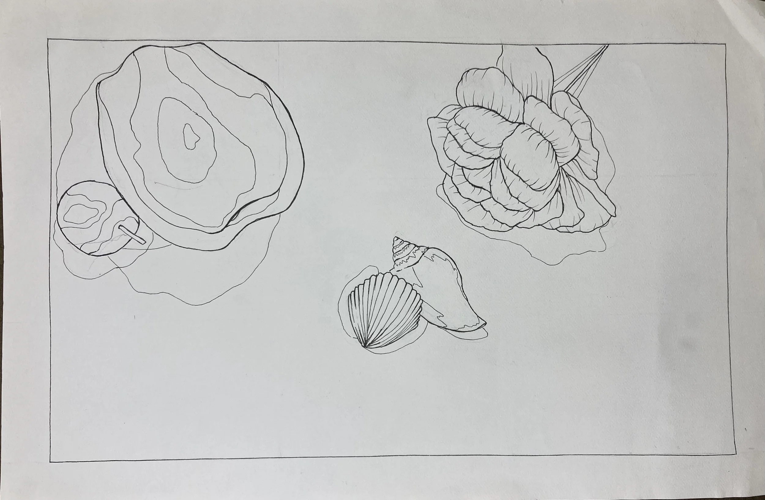 Ada H - Contour lines