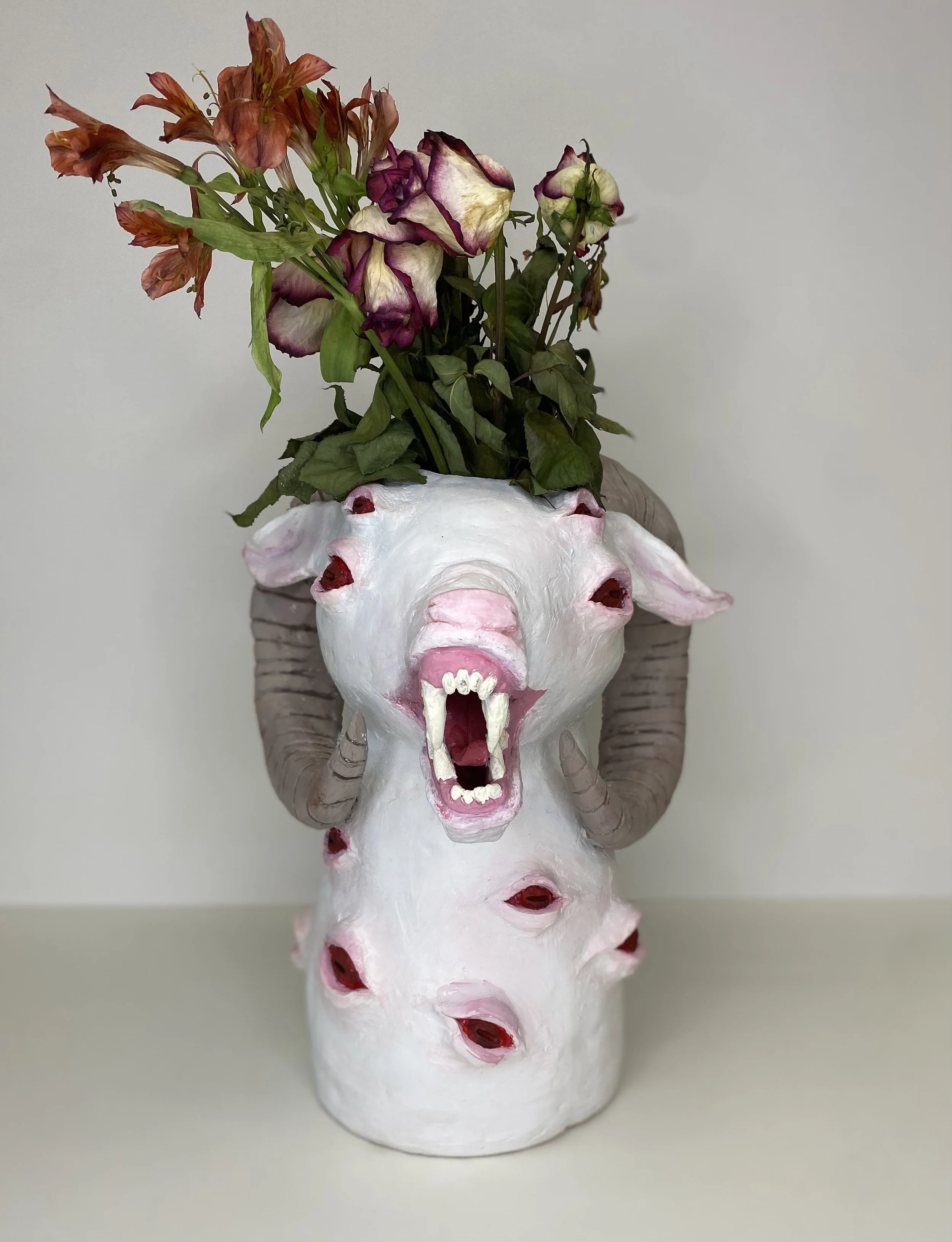 31EEFB45-78C6-4A89-901F-68FC50CEF421 - HAVALEE COY.jpeg