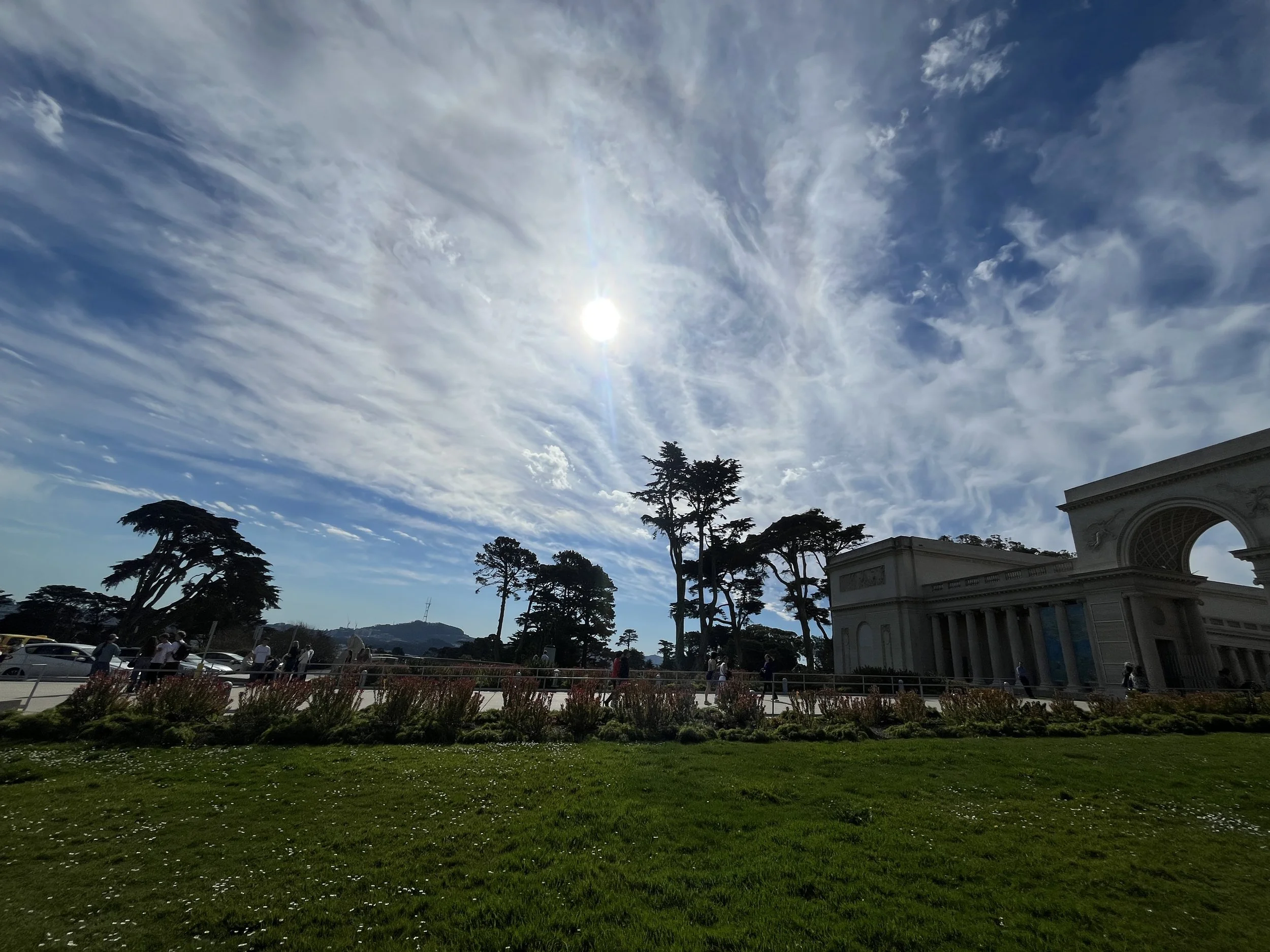 IMG_20260323_191046 (1).jpg