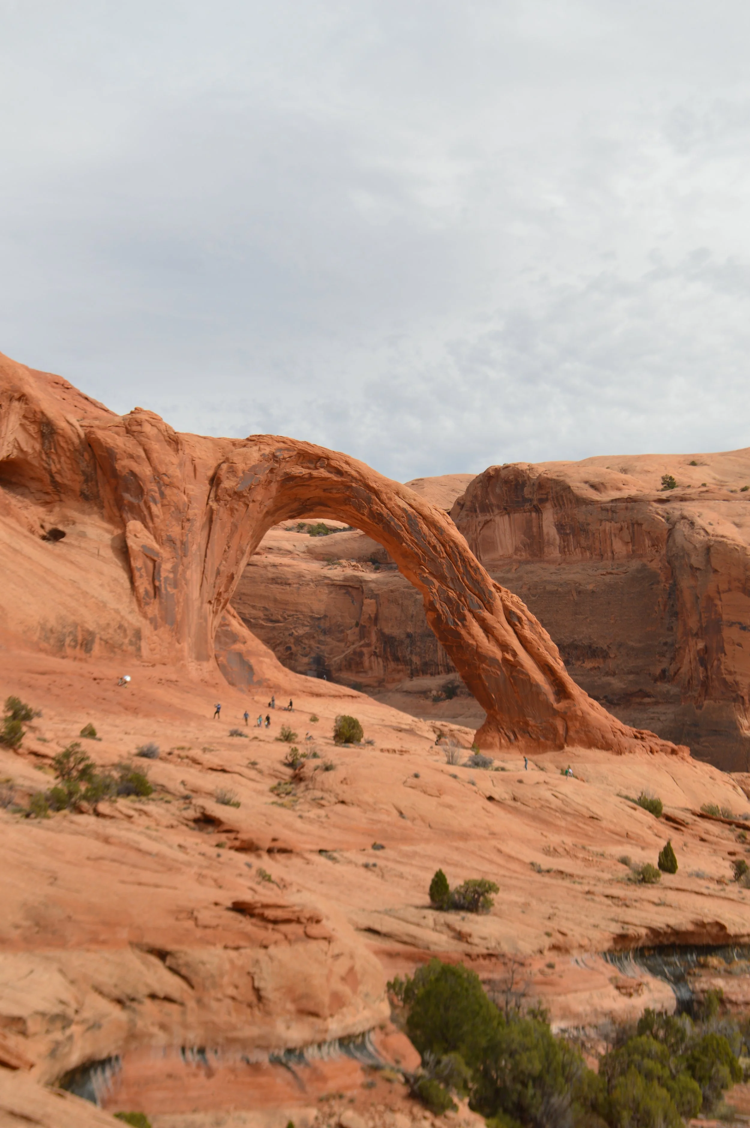 Izzy T. - Arches