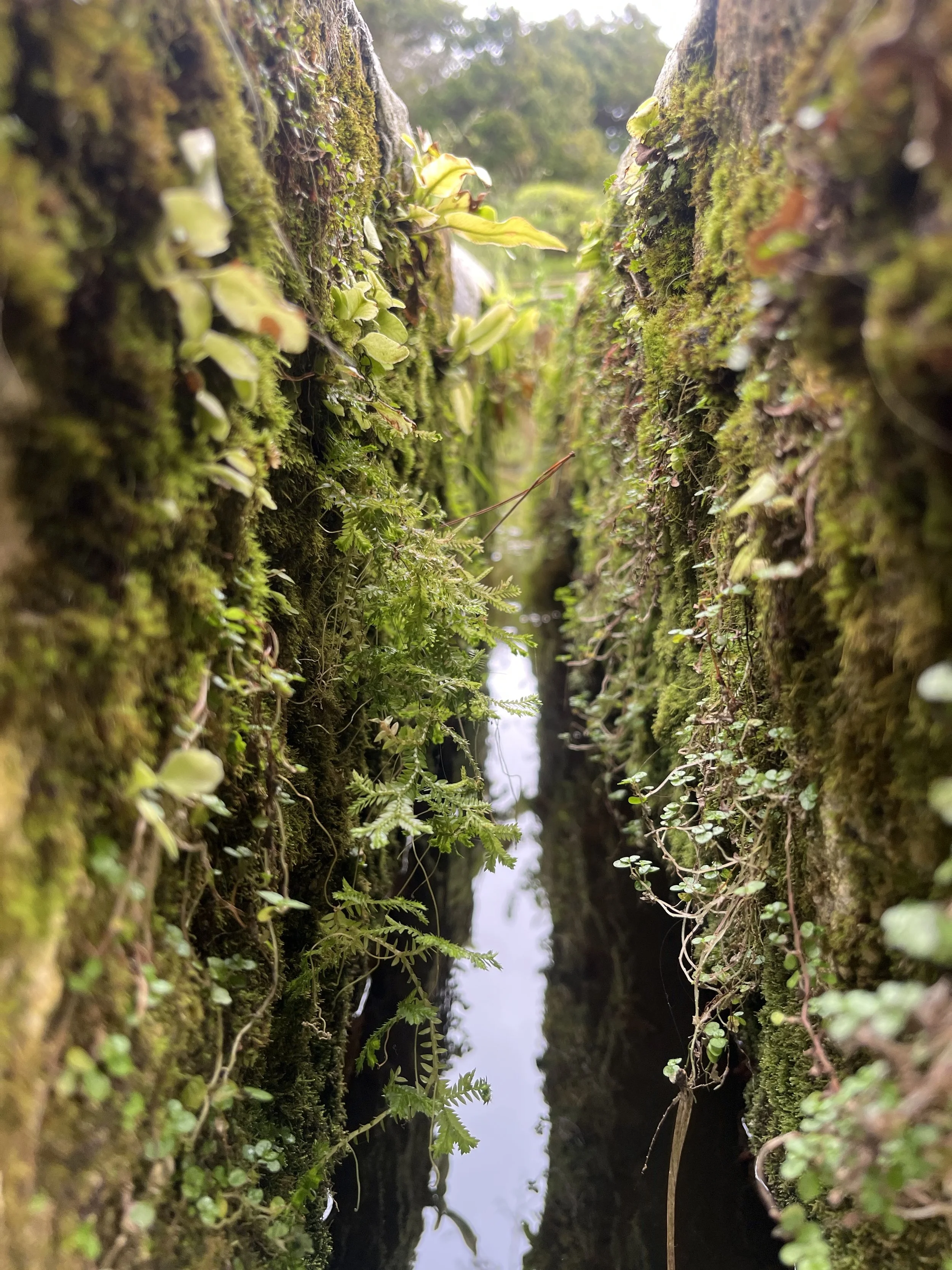 IMG_20260323_191046 (7).jpg