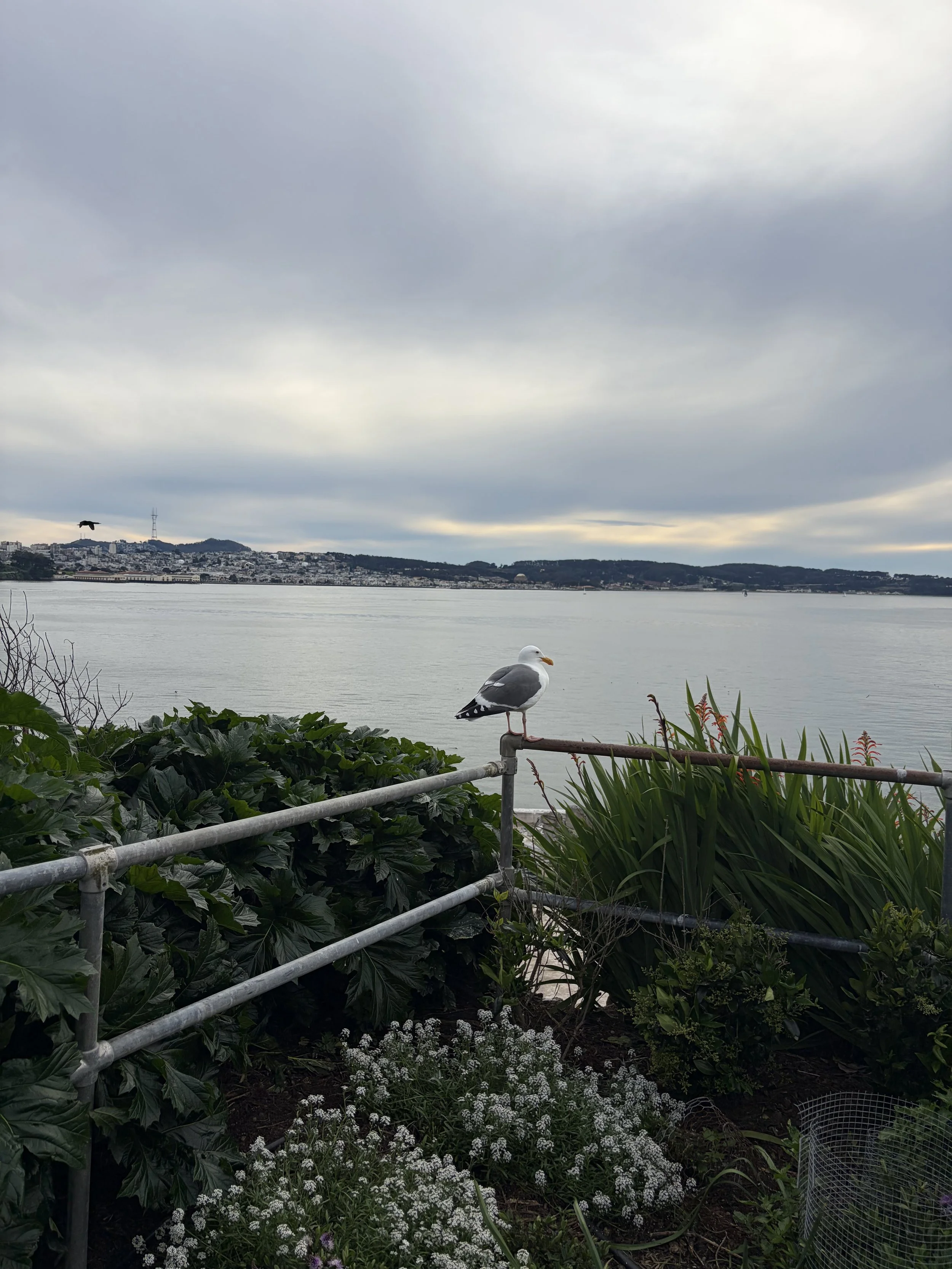 IMG_20260323_190733 (8).jpg