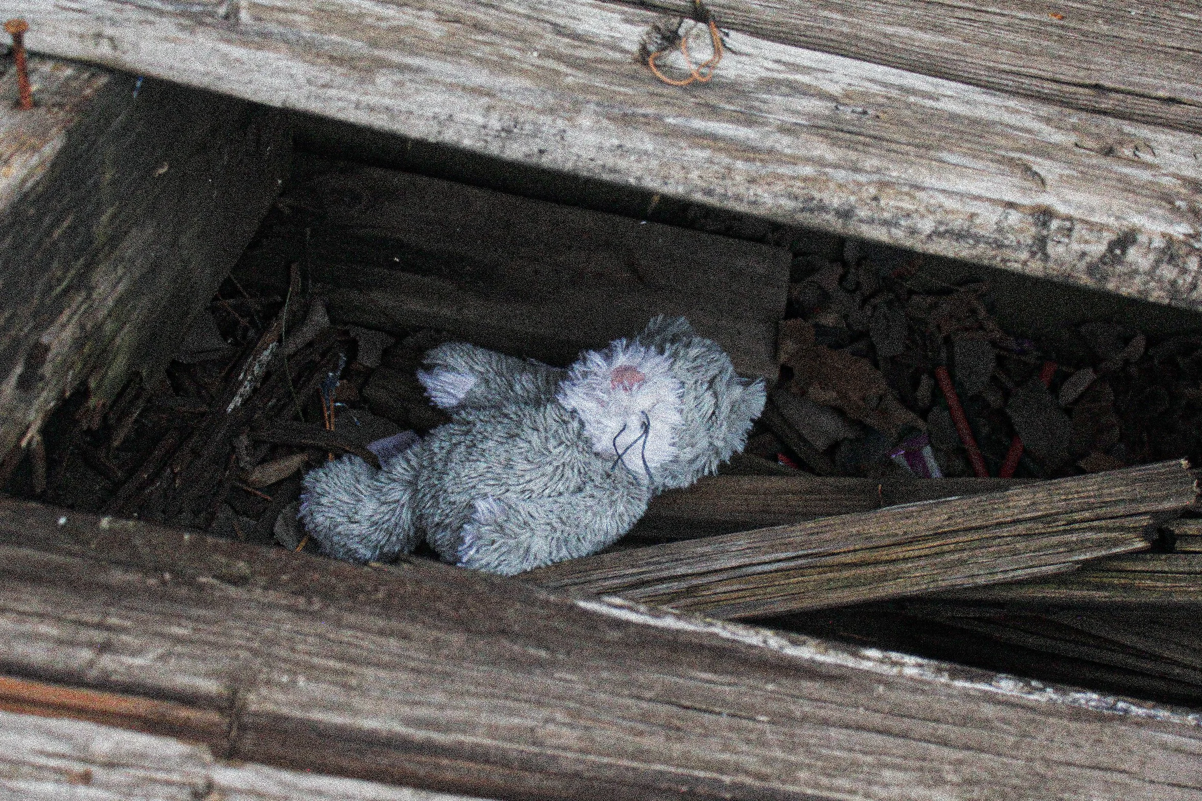 Mason H. - Abandoned Stuffed Animal