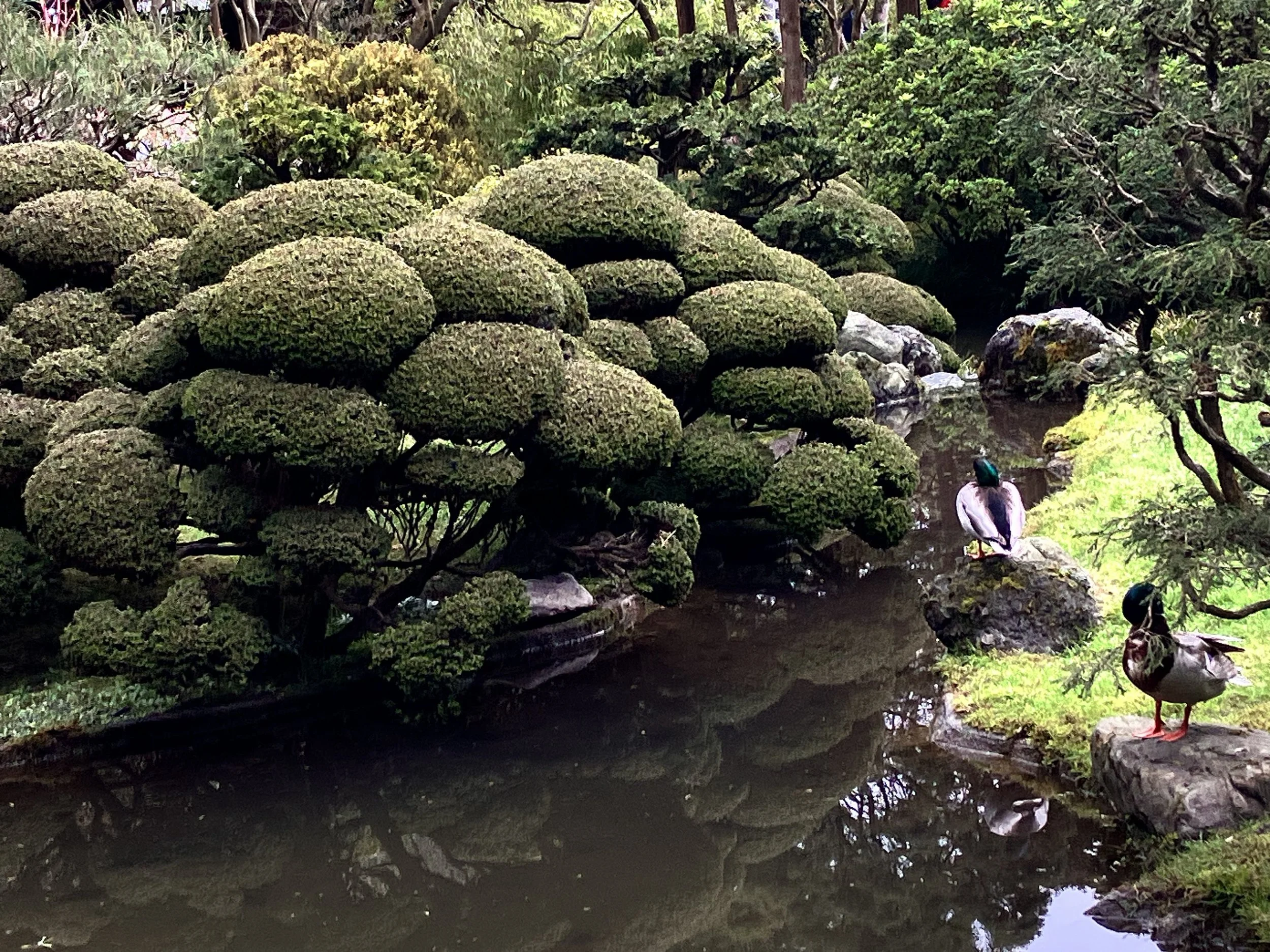 IMG_20260323_190539 (1) (12).jpg