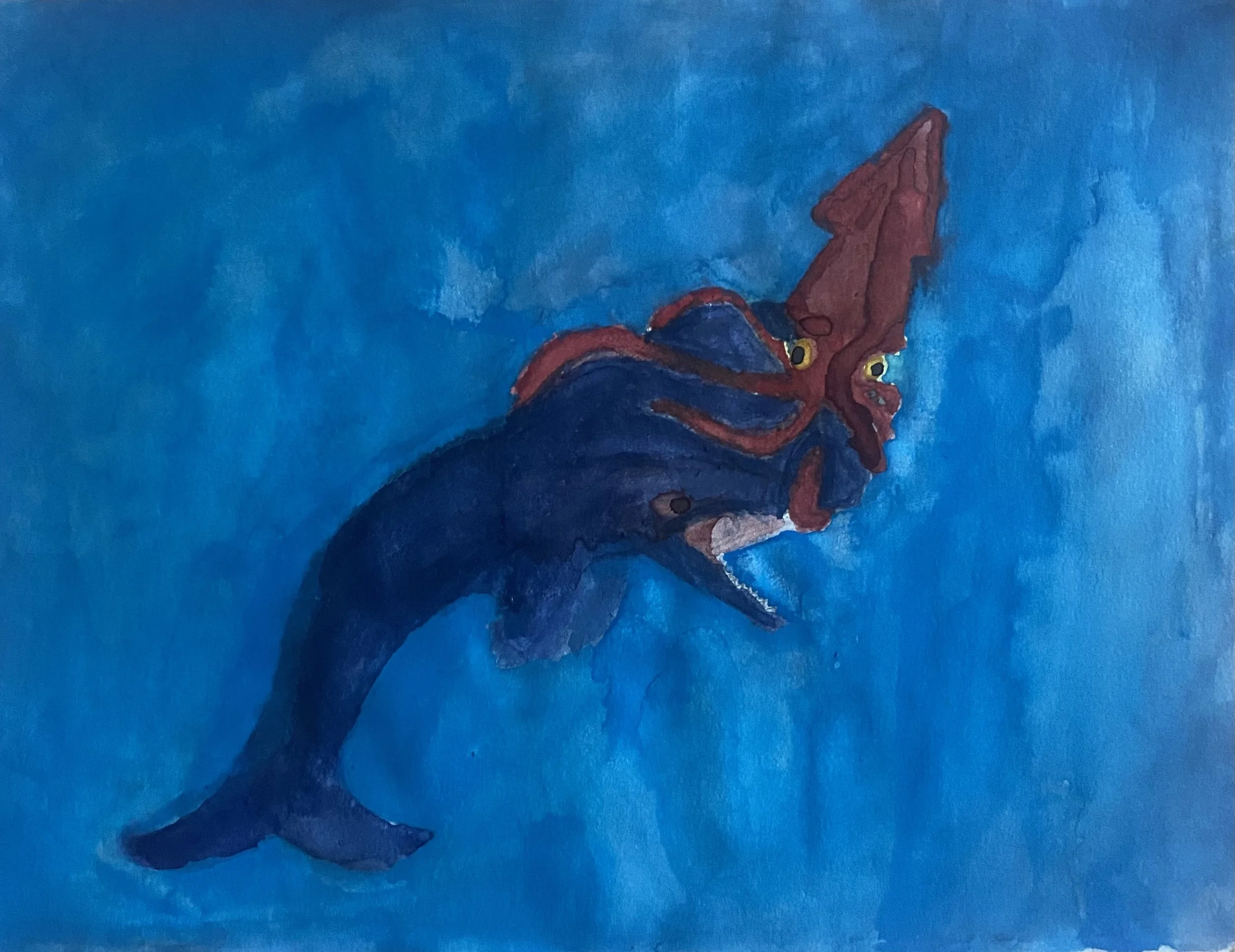 Sam B - Whale vs Squid