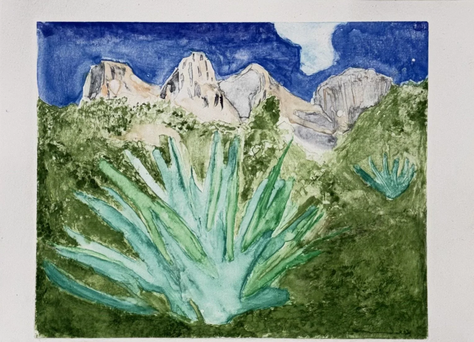 Ailey G - Aloe Sky