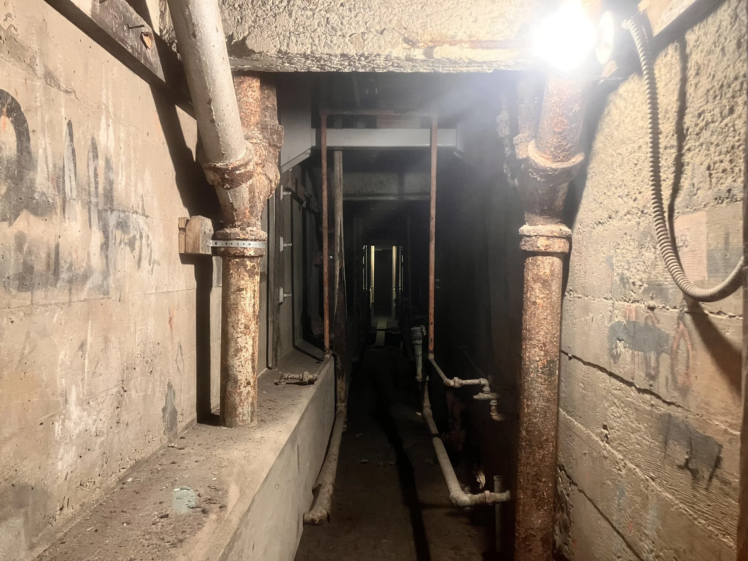 IMG_20260323_190538 (8).jpg