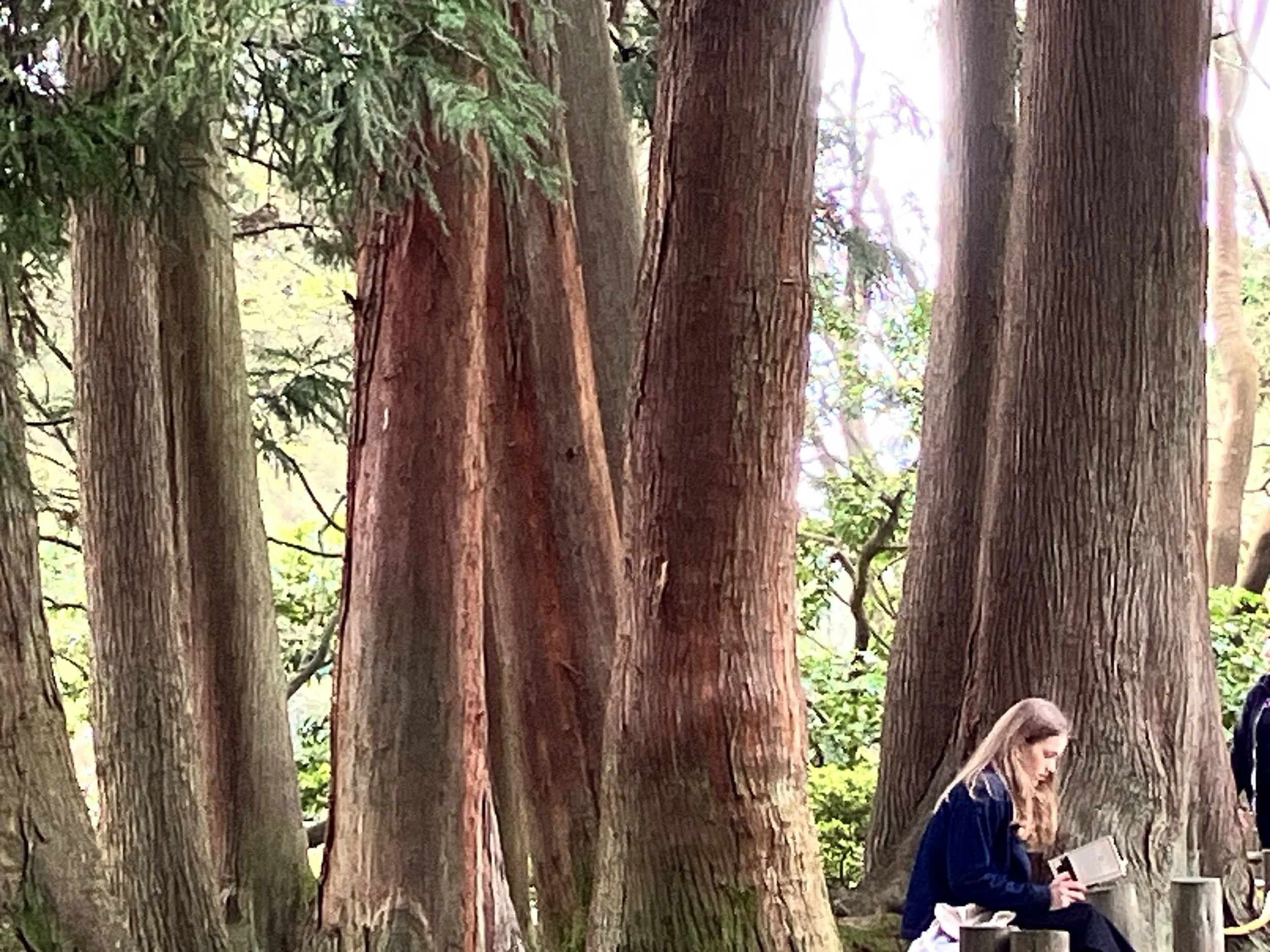 IMG_20260323_190539 (1) (10).jpg