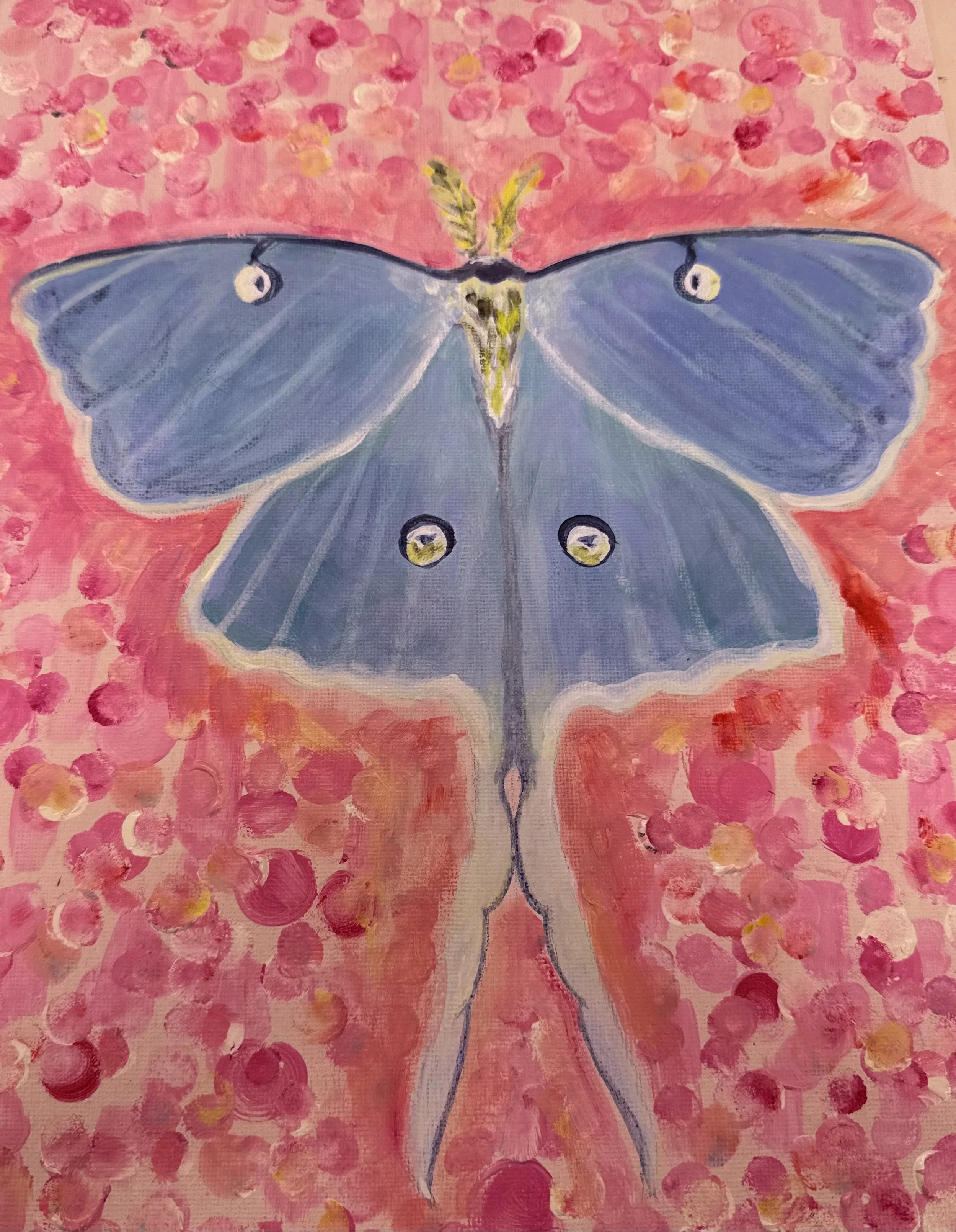 Hannah N - Moth