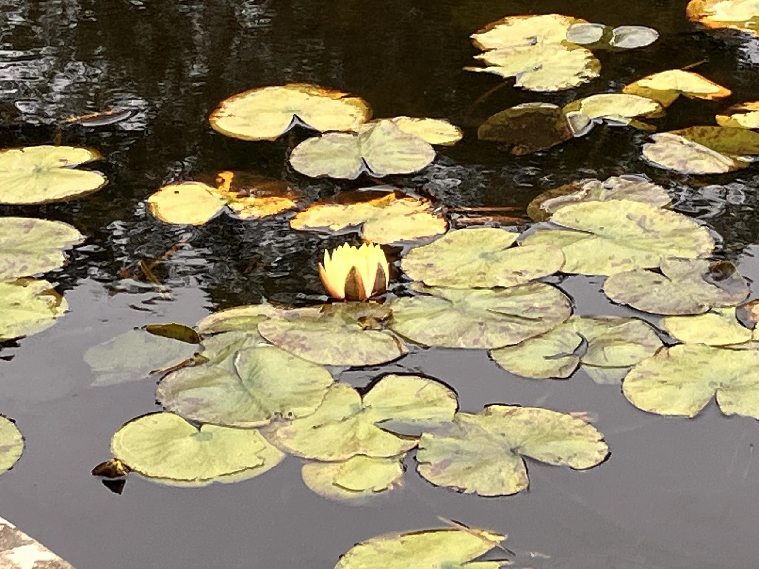 IMG_20260323_190535 (1).jpg