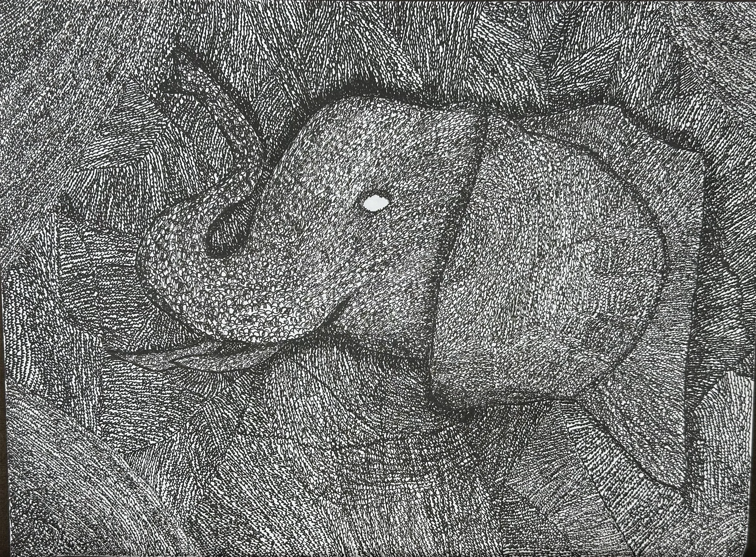 Aylin P - Where lines become life